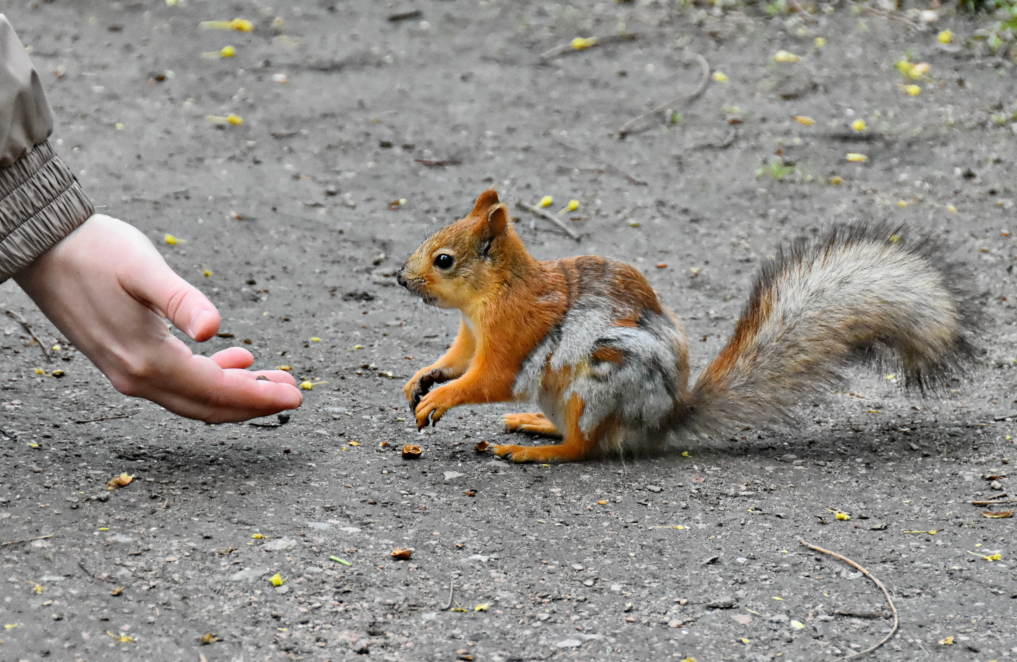, Лидия Ушакова