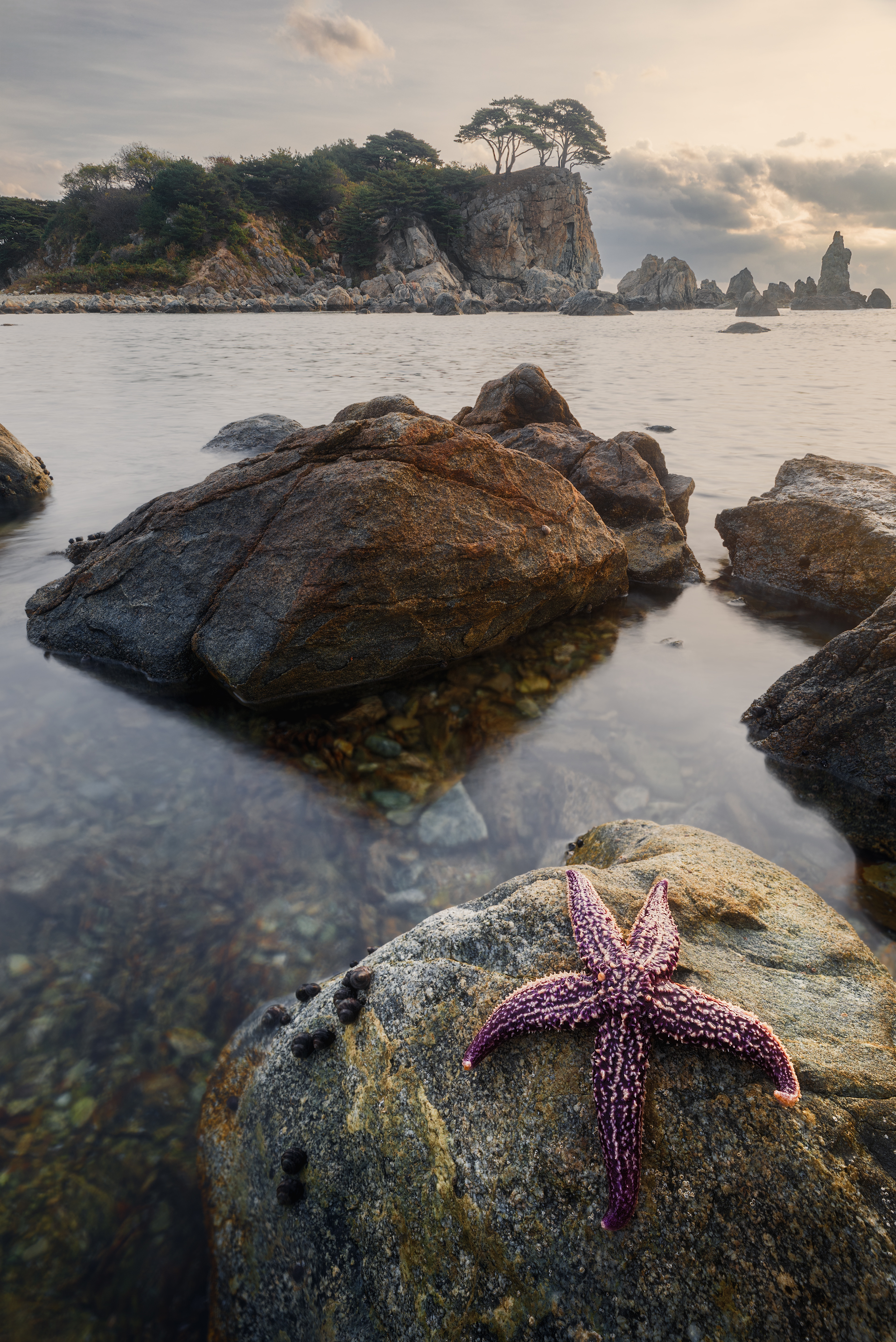 Приморье, Приморский край, Орлинка, Александр Писарев