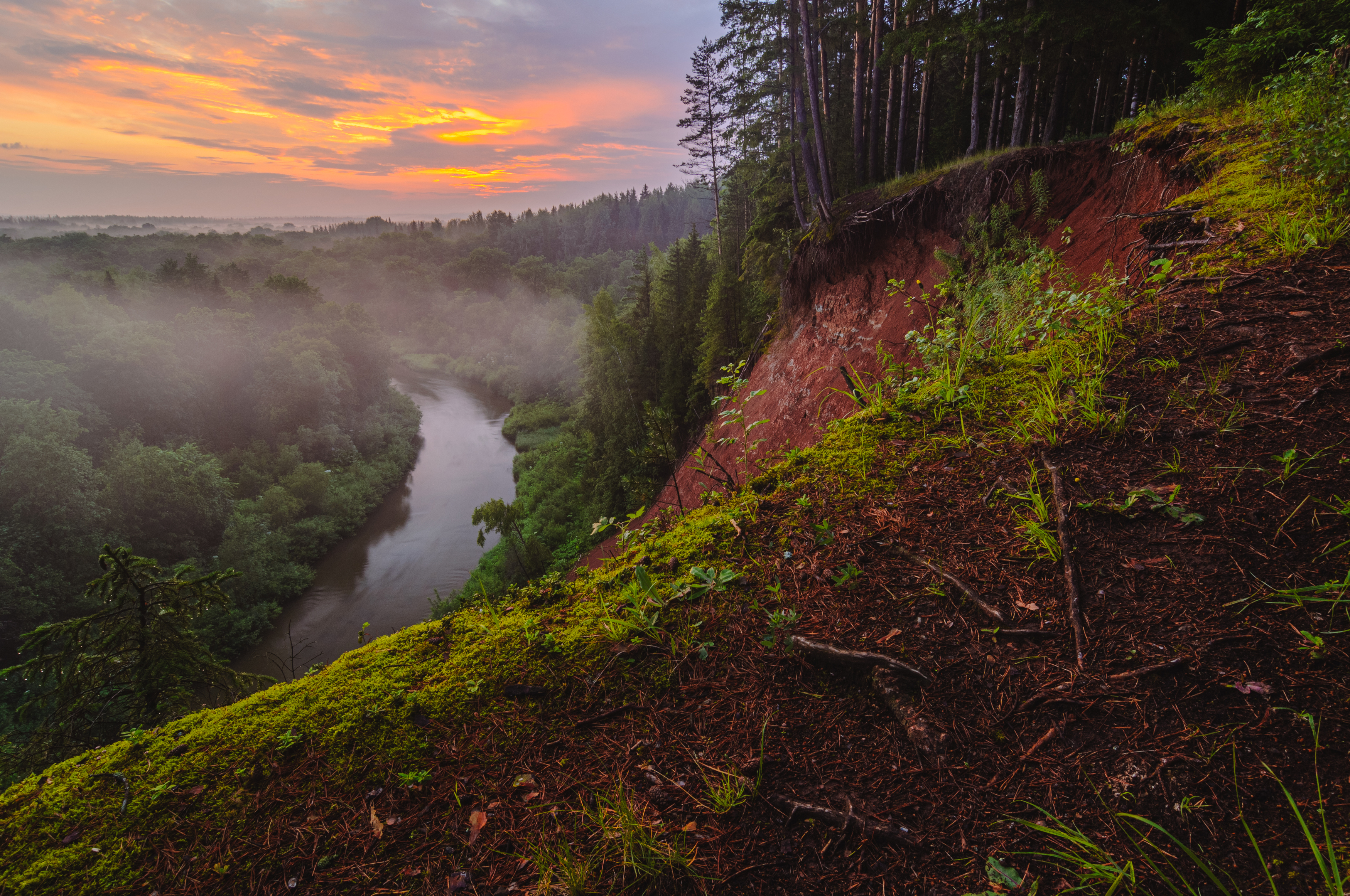 landscape, sunrise, cliff, rival, roots, fog, forest, nature, пейзаж, рассвет, туман, утес, река, корни, Набоков Андрей