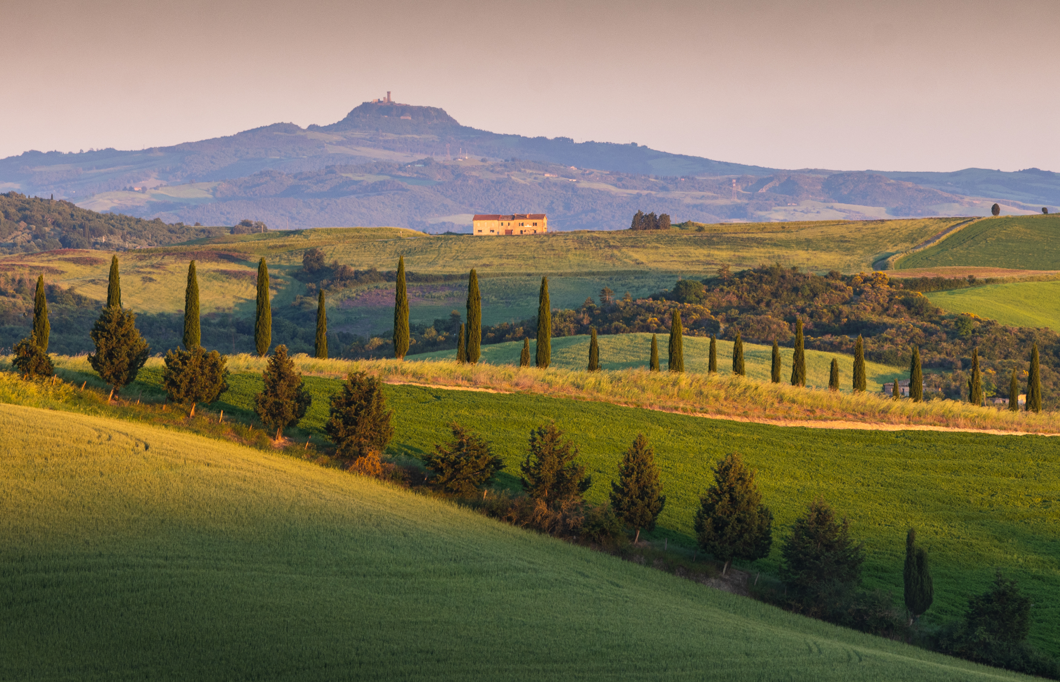 , Алекс Римский