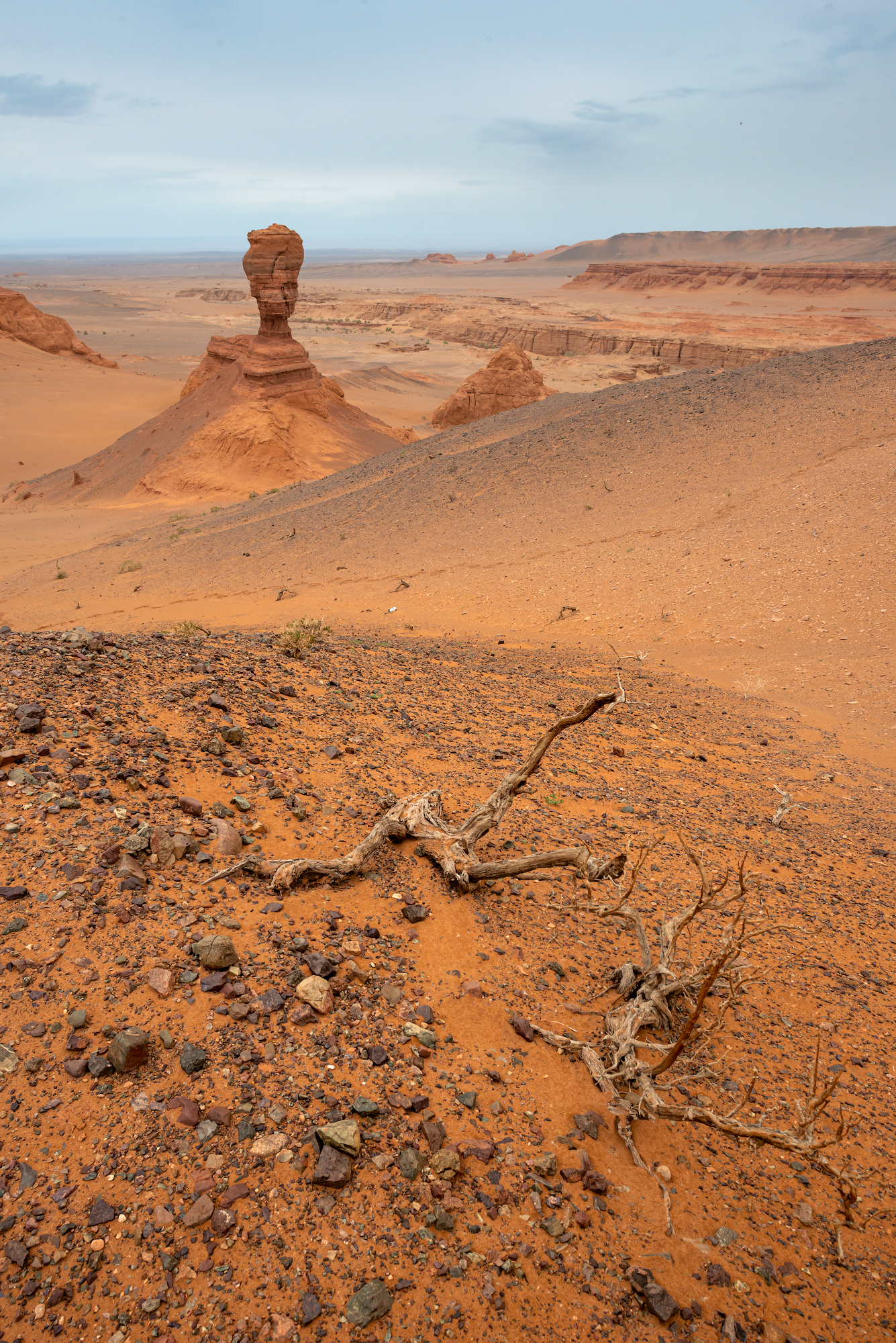 Монголия, Гоби, Эдуард Кутыгин