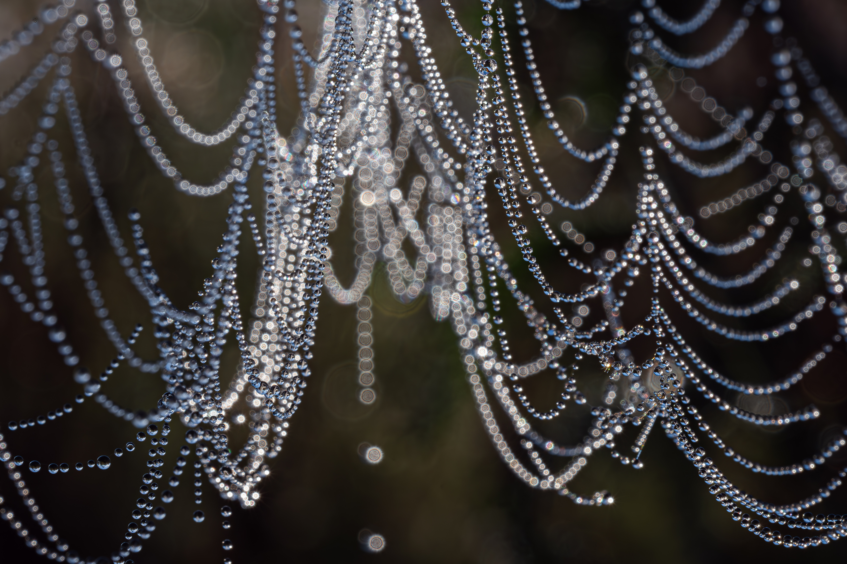 , Зайцев Роман