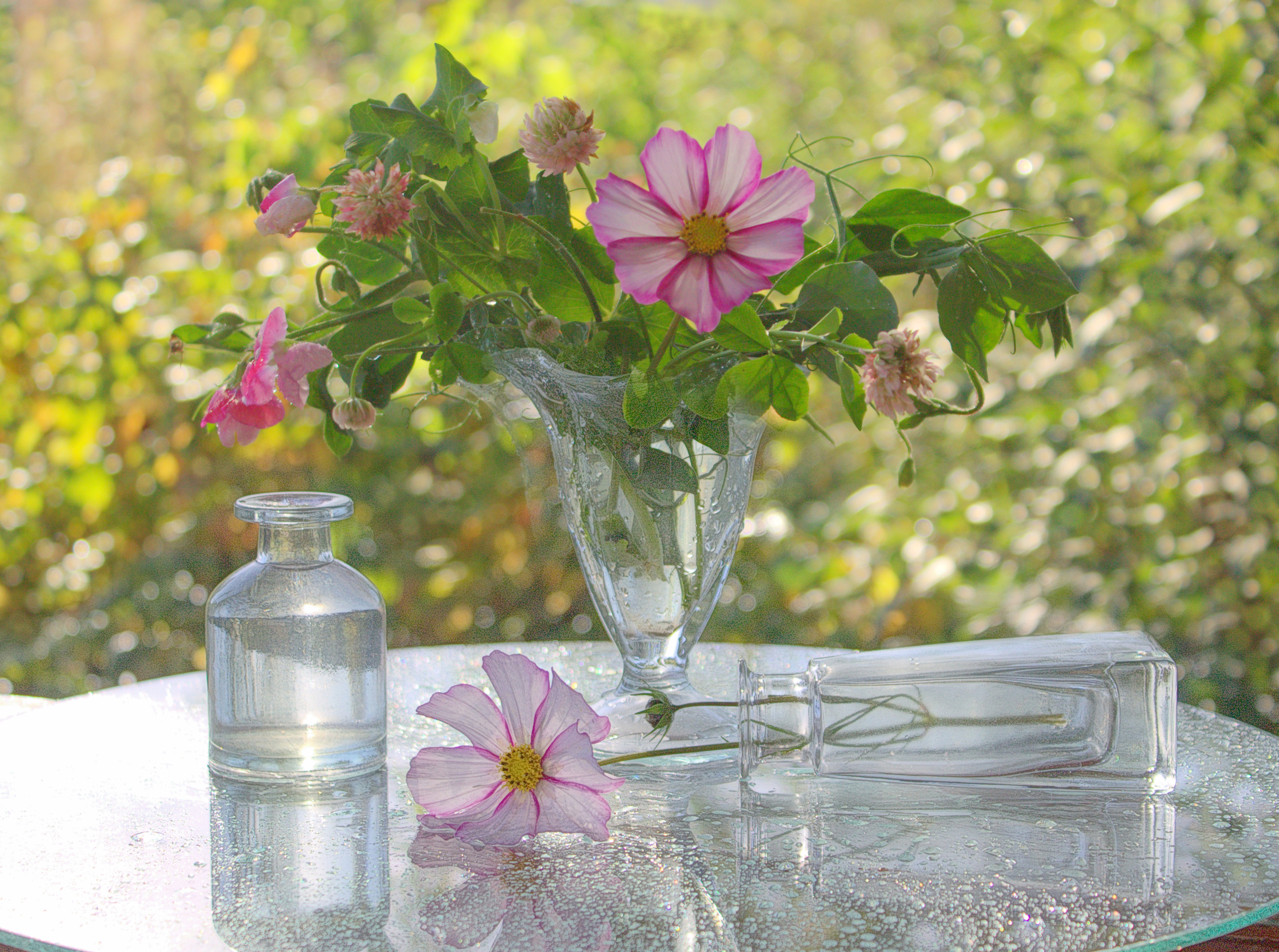 , Хохлова (Ермохина) Наталья