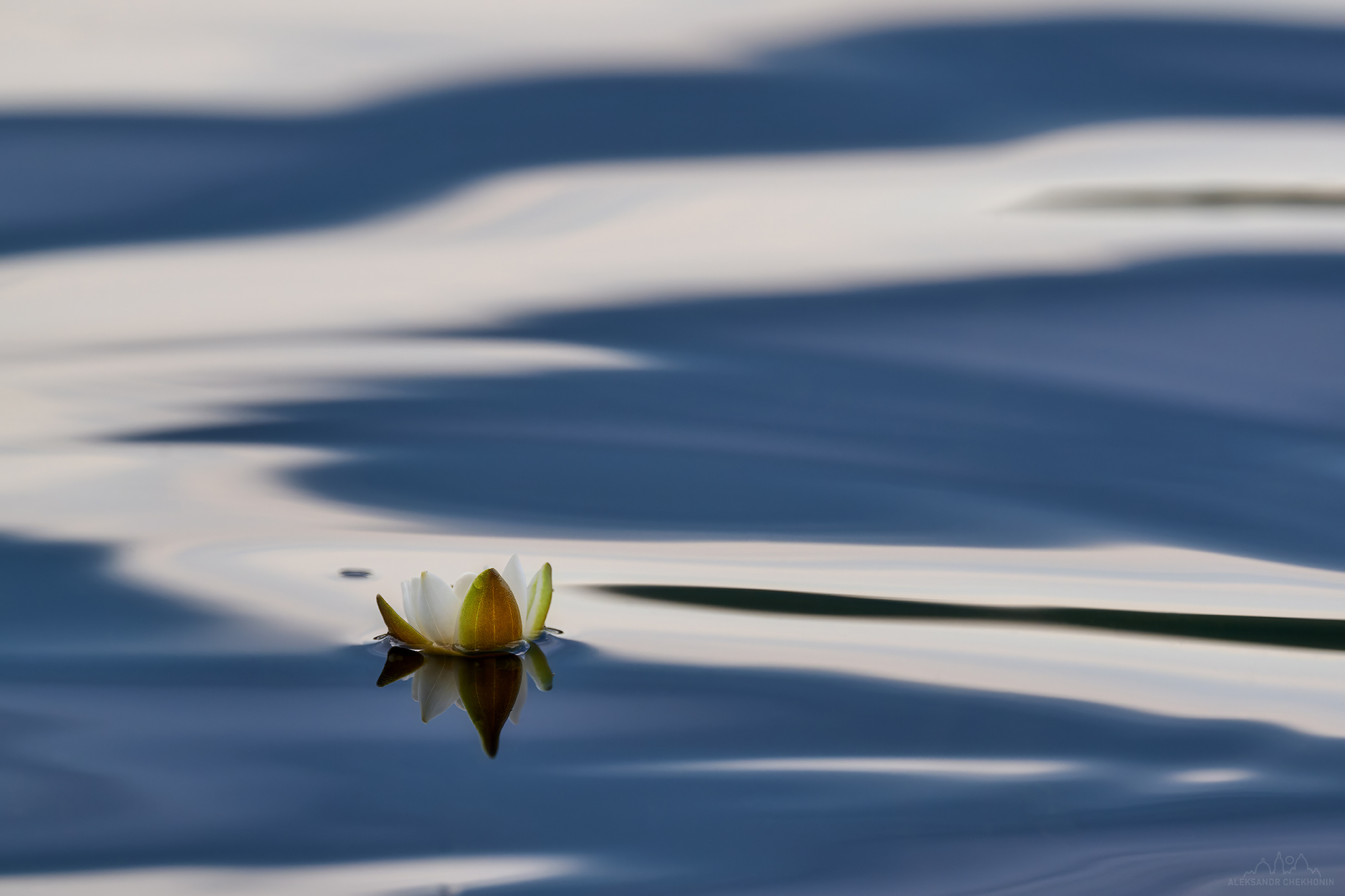 , Чехонин Александр