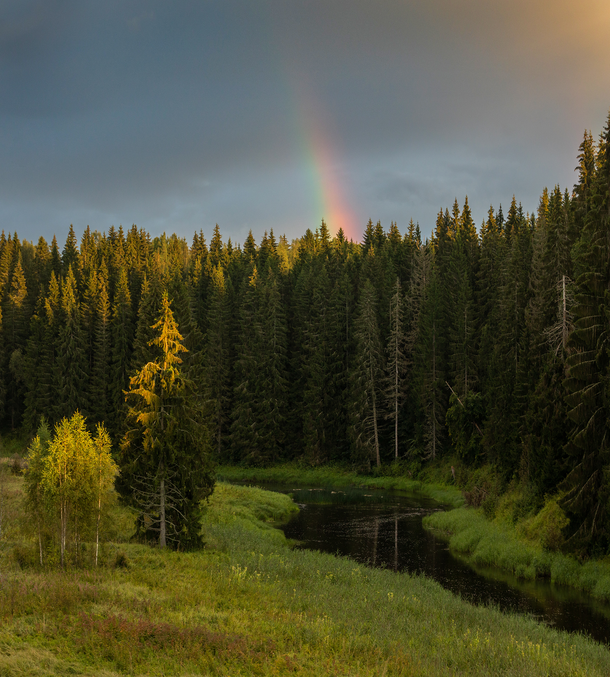 деревня,  русский север, рассвет, ленинградская область,  радуга, природа, утро, лес, Павел Ващенков