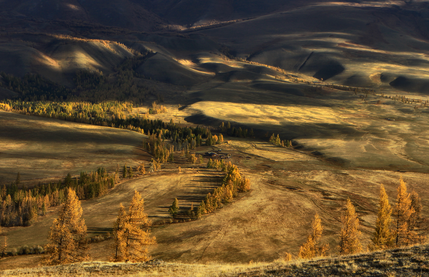 алтай, горный алтай, курай, Галина Хвостенко