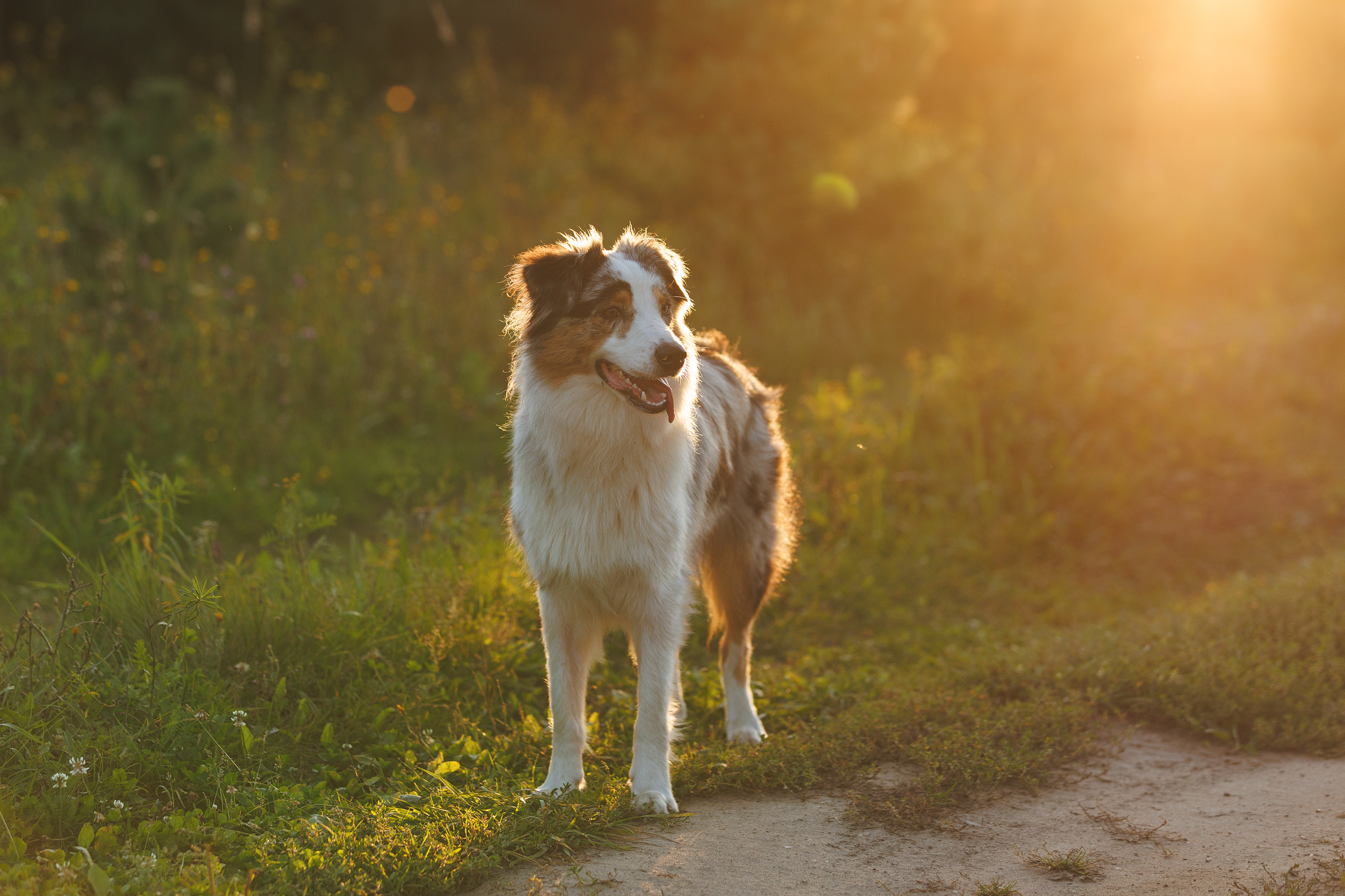 , Шерскова Мария