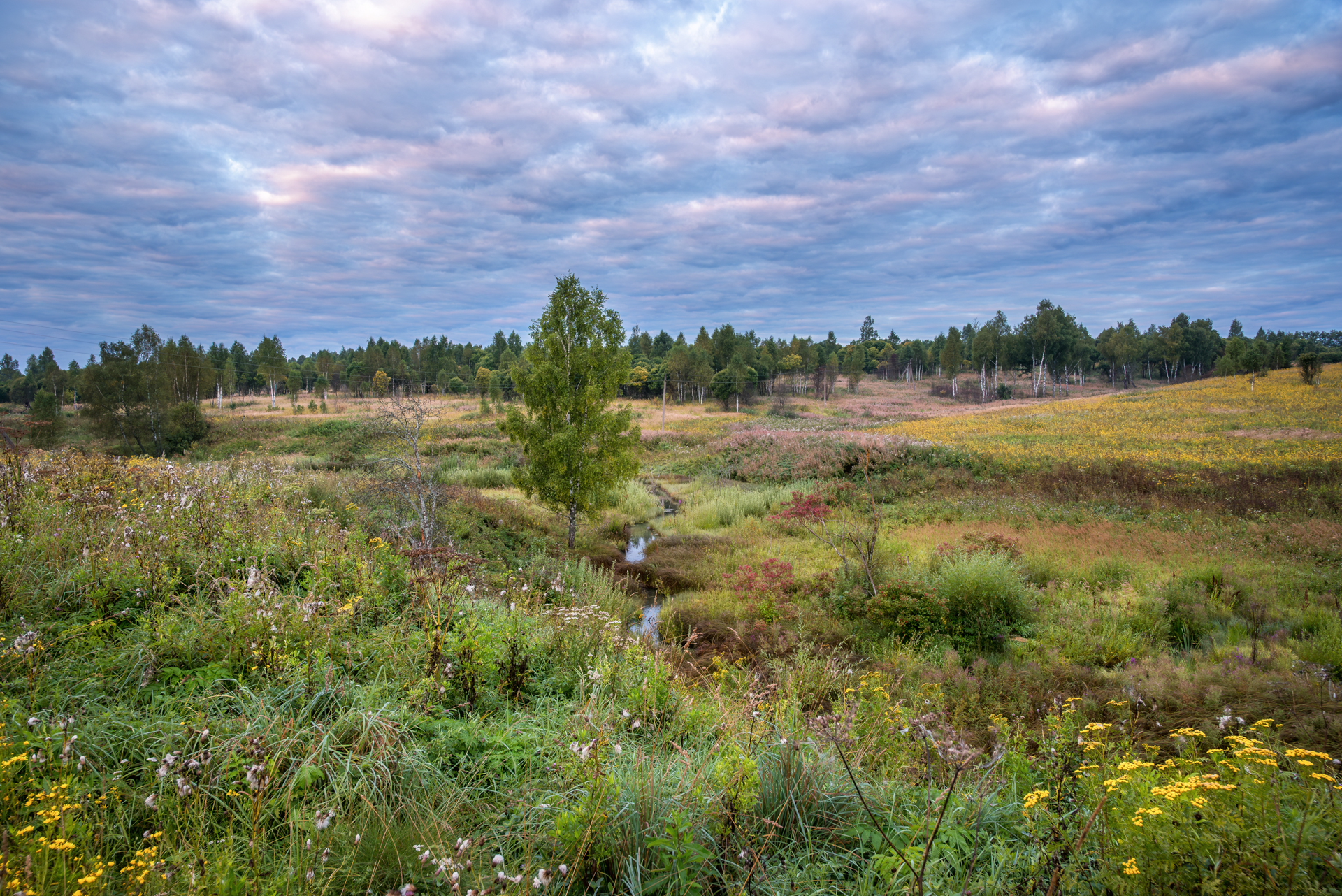 , Сережин Сережа