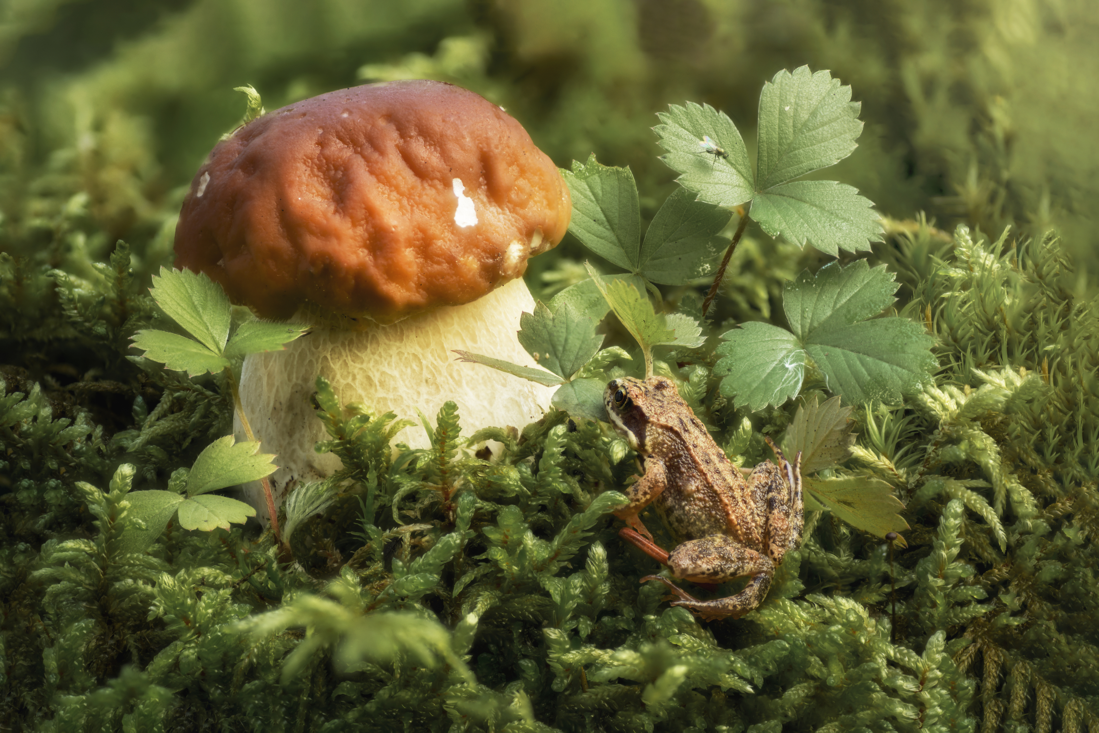 , Максим Вышарь