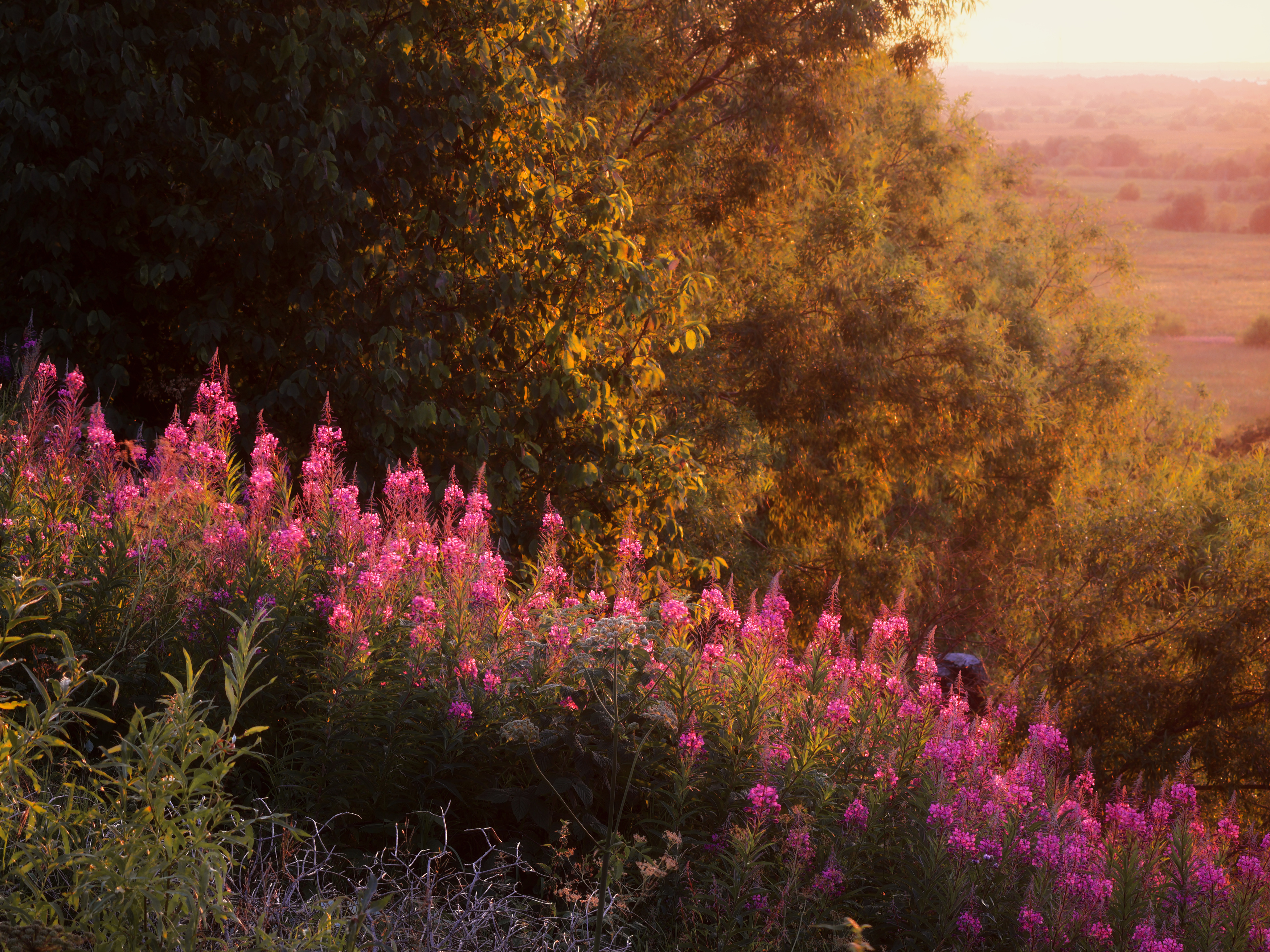 , Александр Титов