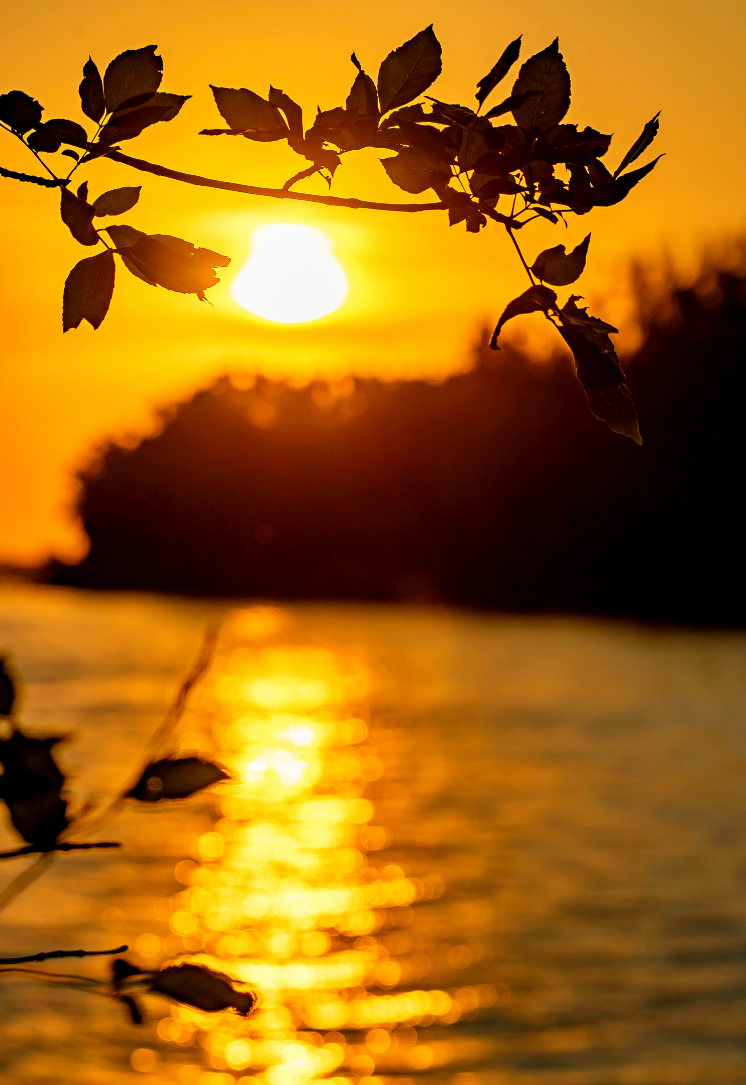 , Подосинников Максим