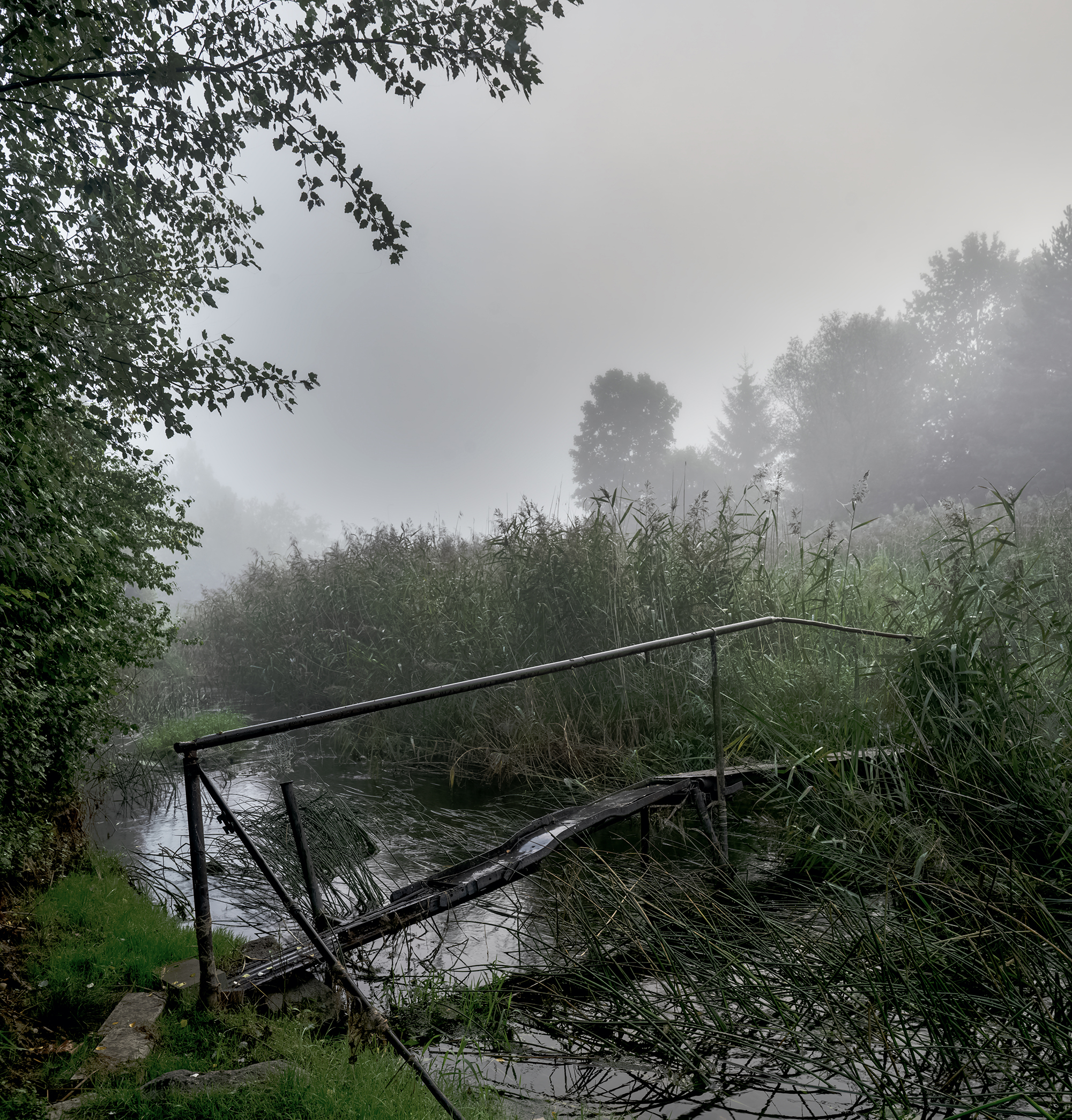 river,fog,morning,bridge, Eugenijus Rauduve