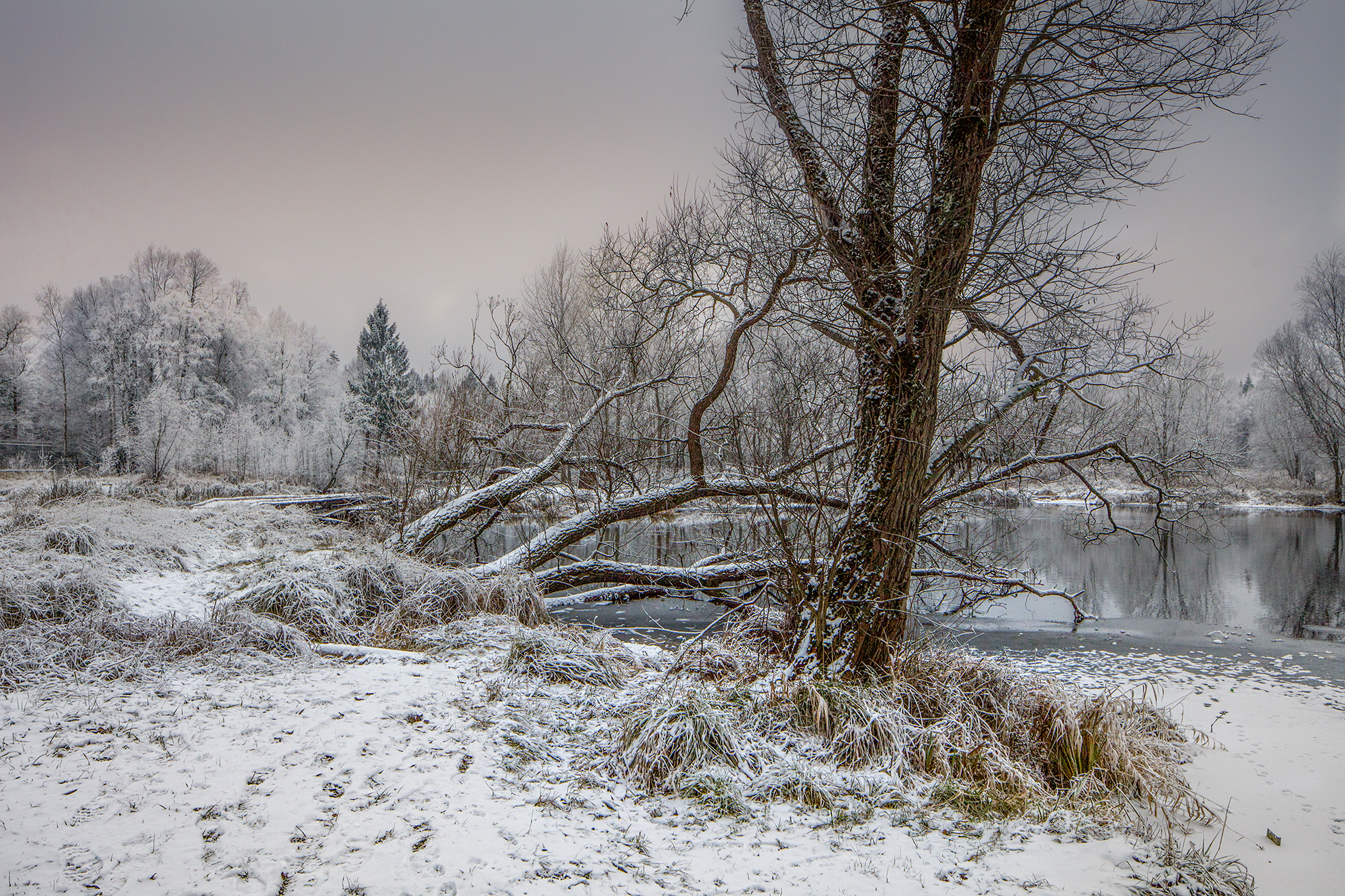 ,  александр михайлов