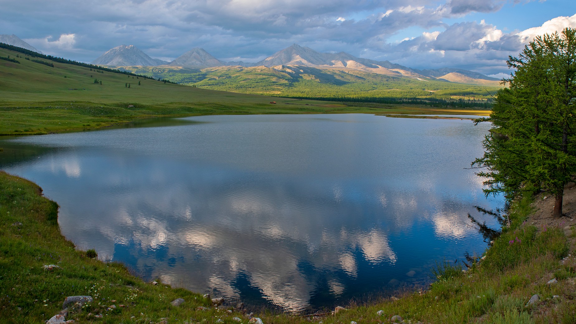 , Юрий Мальцев