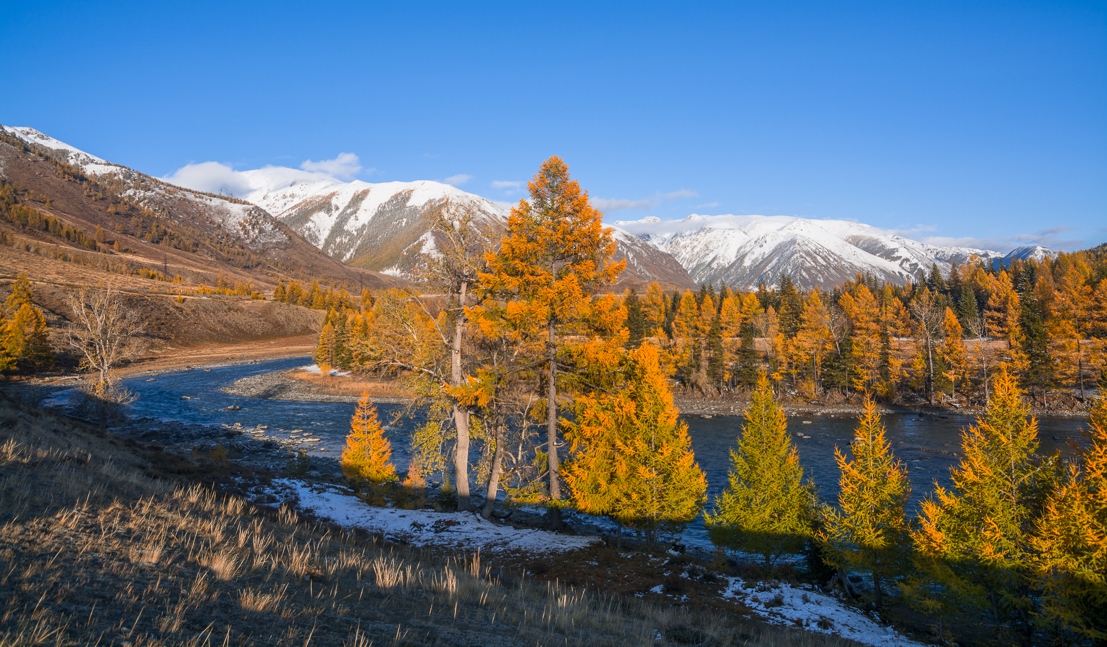 россия, горный алтай, река чуя, осень, Андрей Поляков
