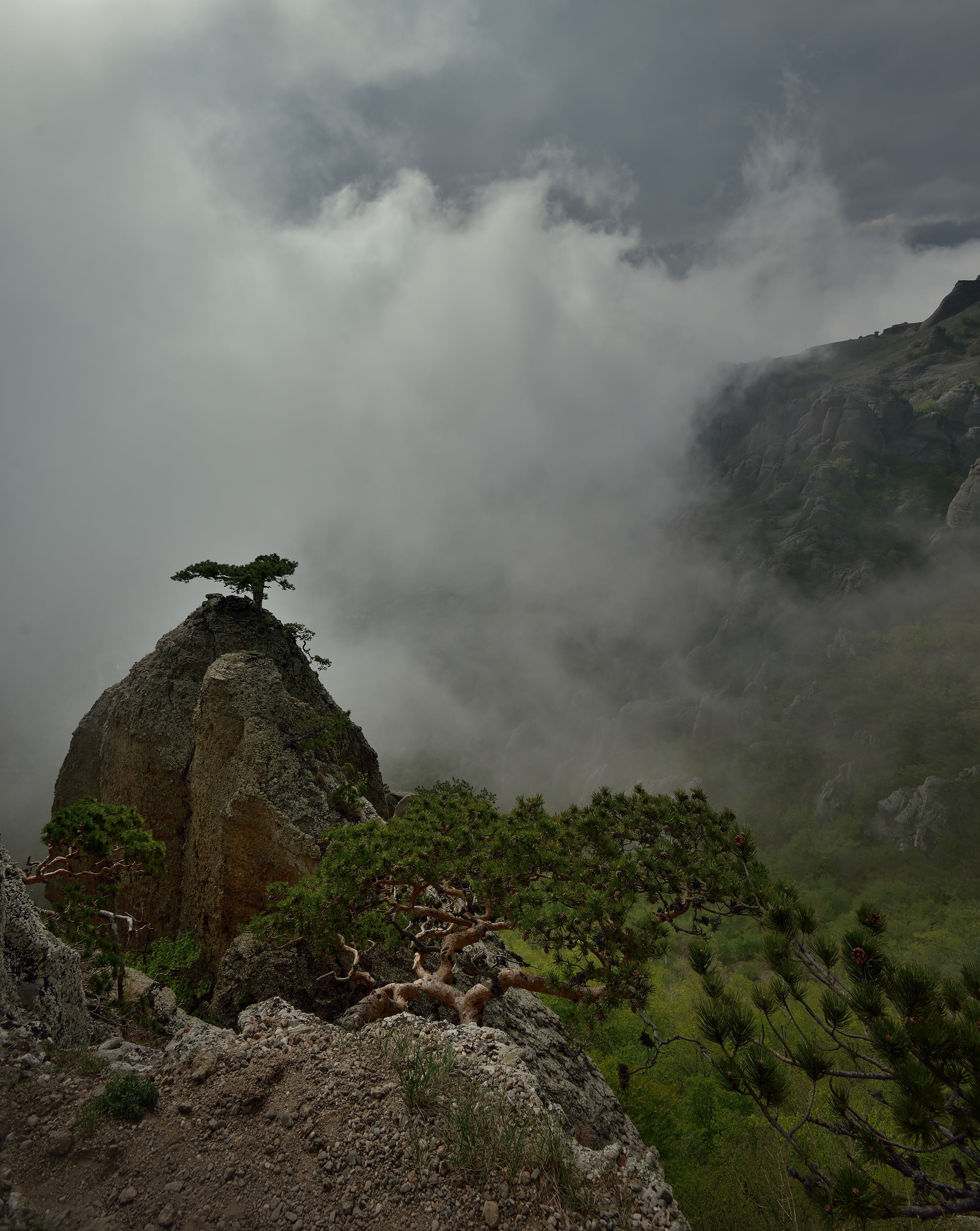 крым, горы, демерджи, туман, Алексей Никонов