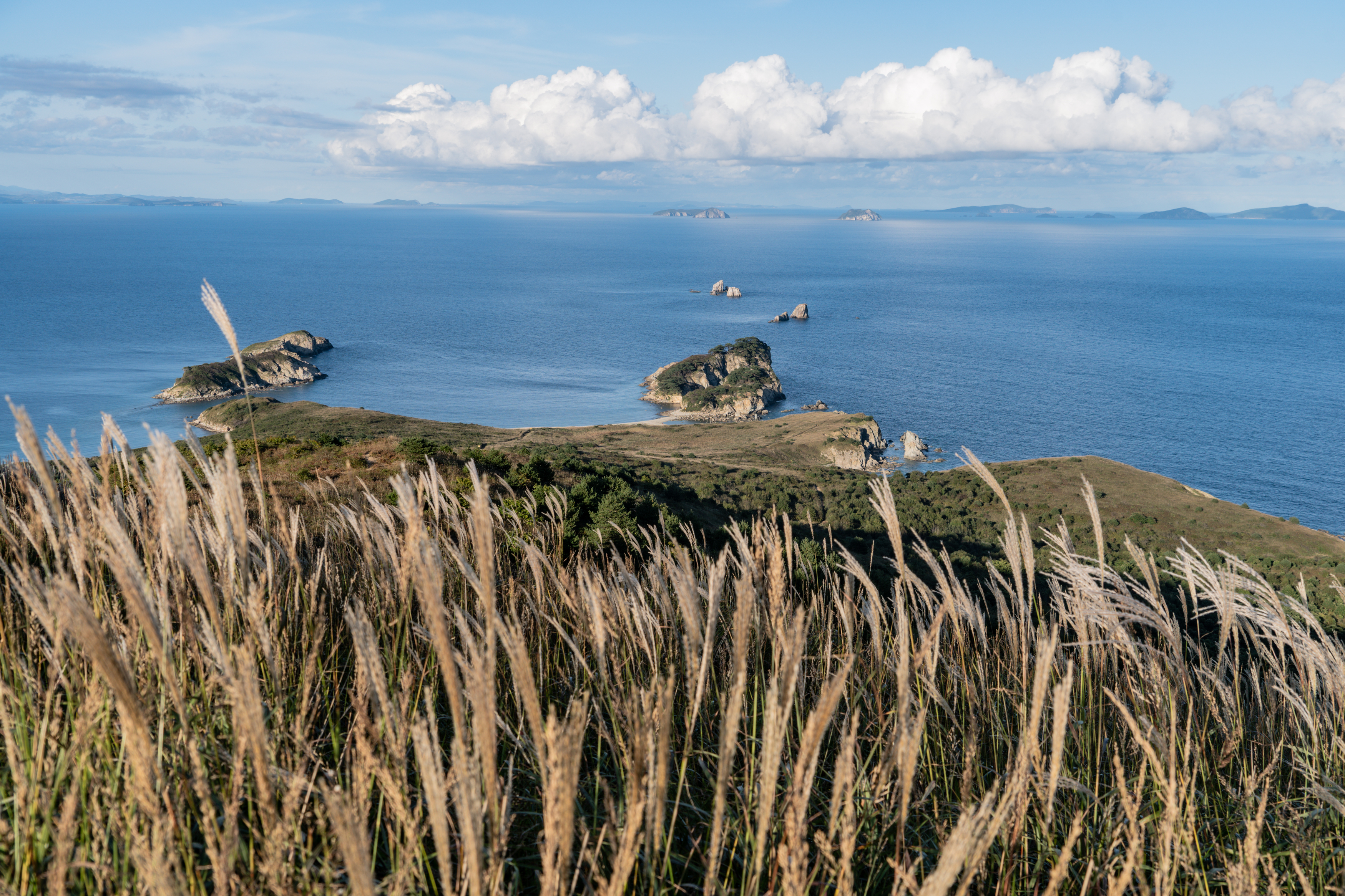 Россия, Приморский край, Японское море, полуостров Гамова, бухта Спасения, Приморье, Гаврилов Юрий