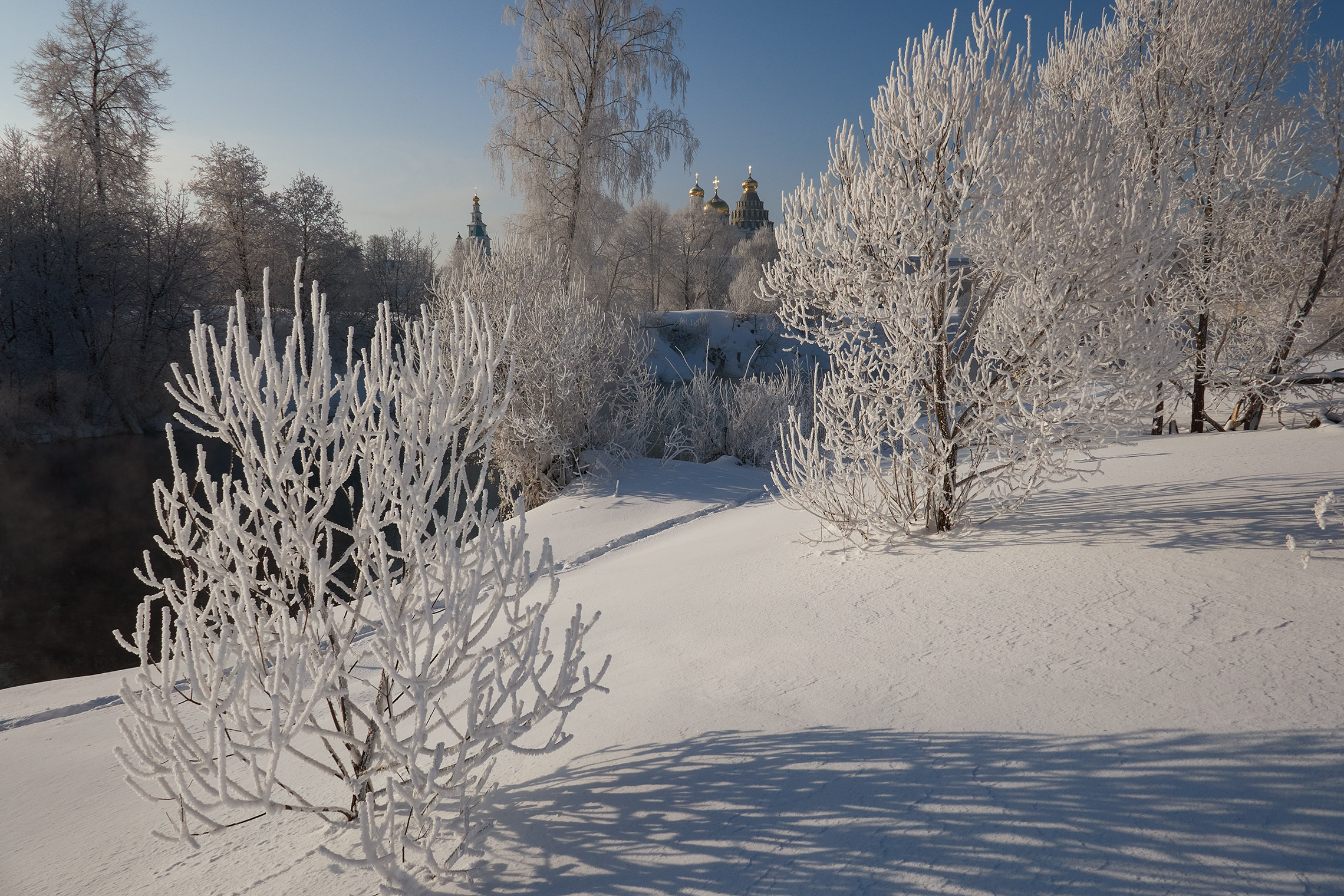 мороз, иней, река истра, зима, Медведев Александр