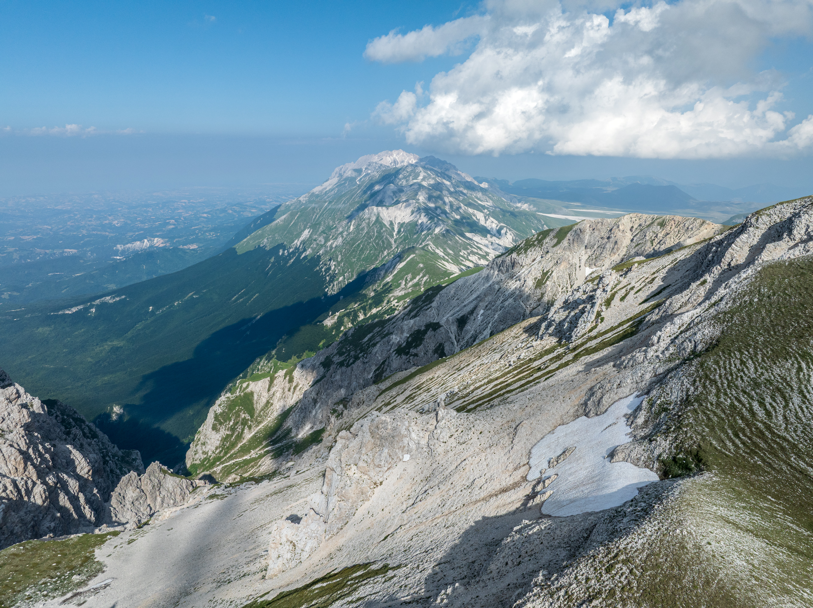 , Гордон Николай