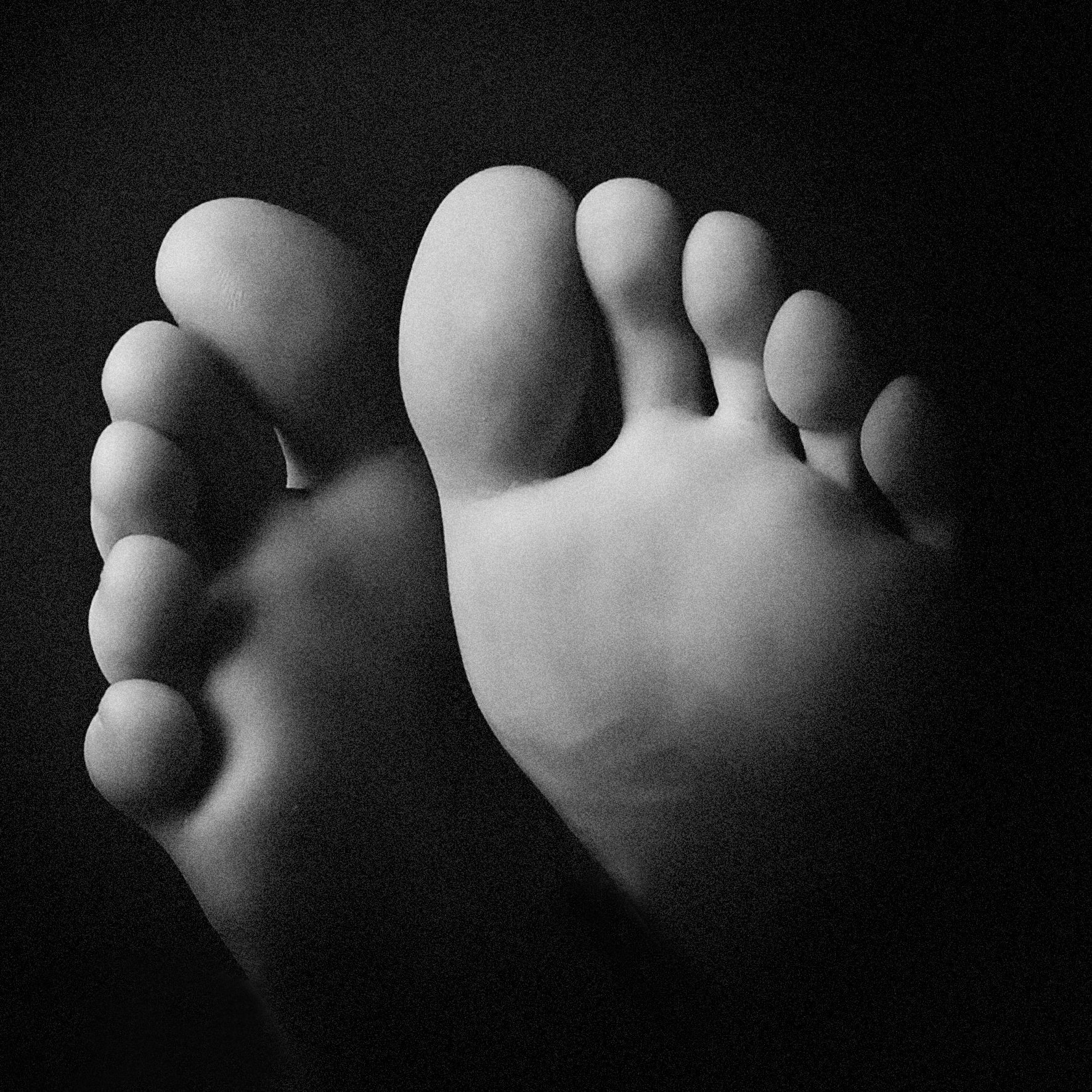 , Илья Зубов