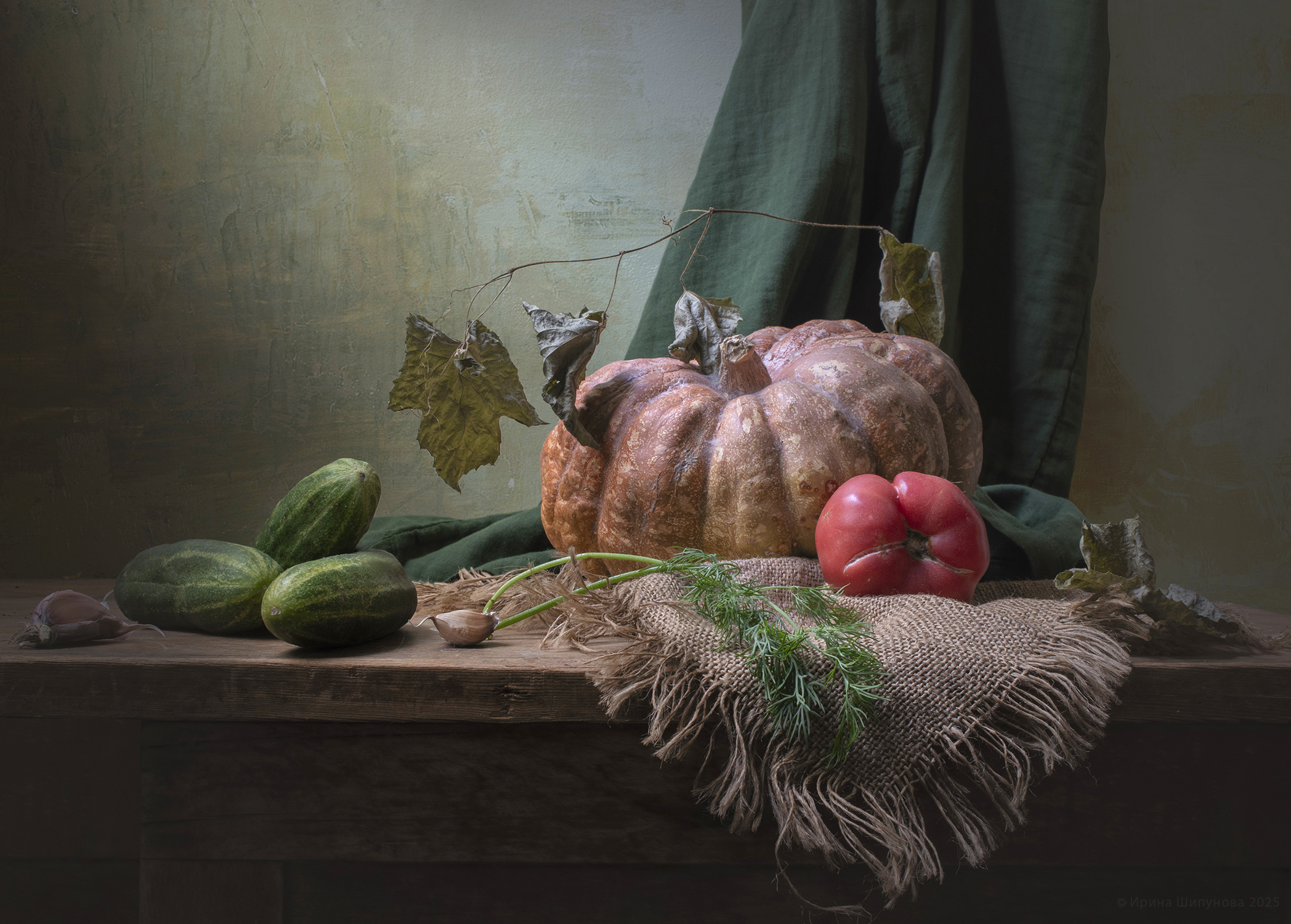 , Шипунова Ирина