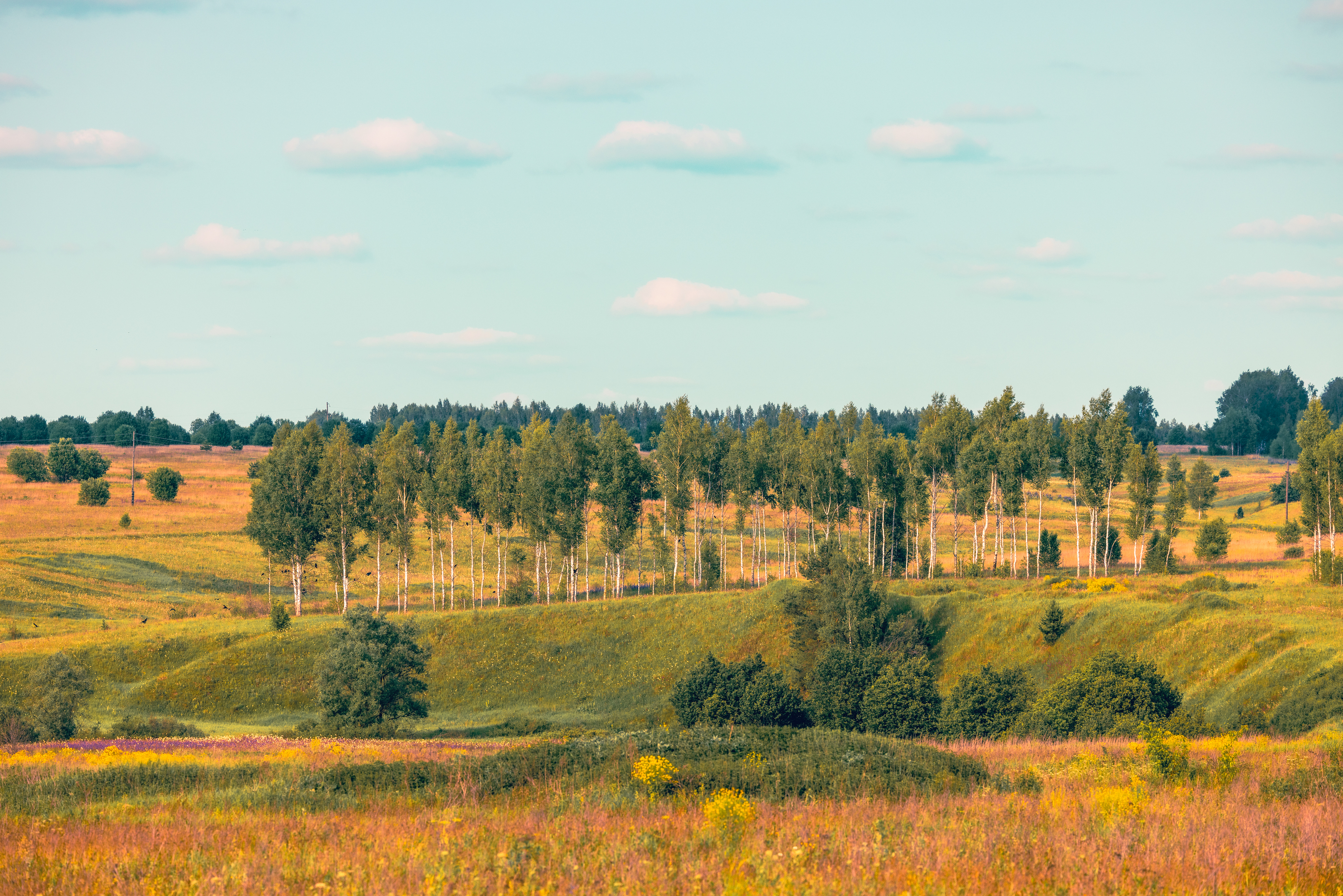 , Александр Шандов