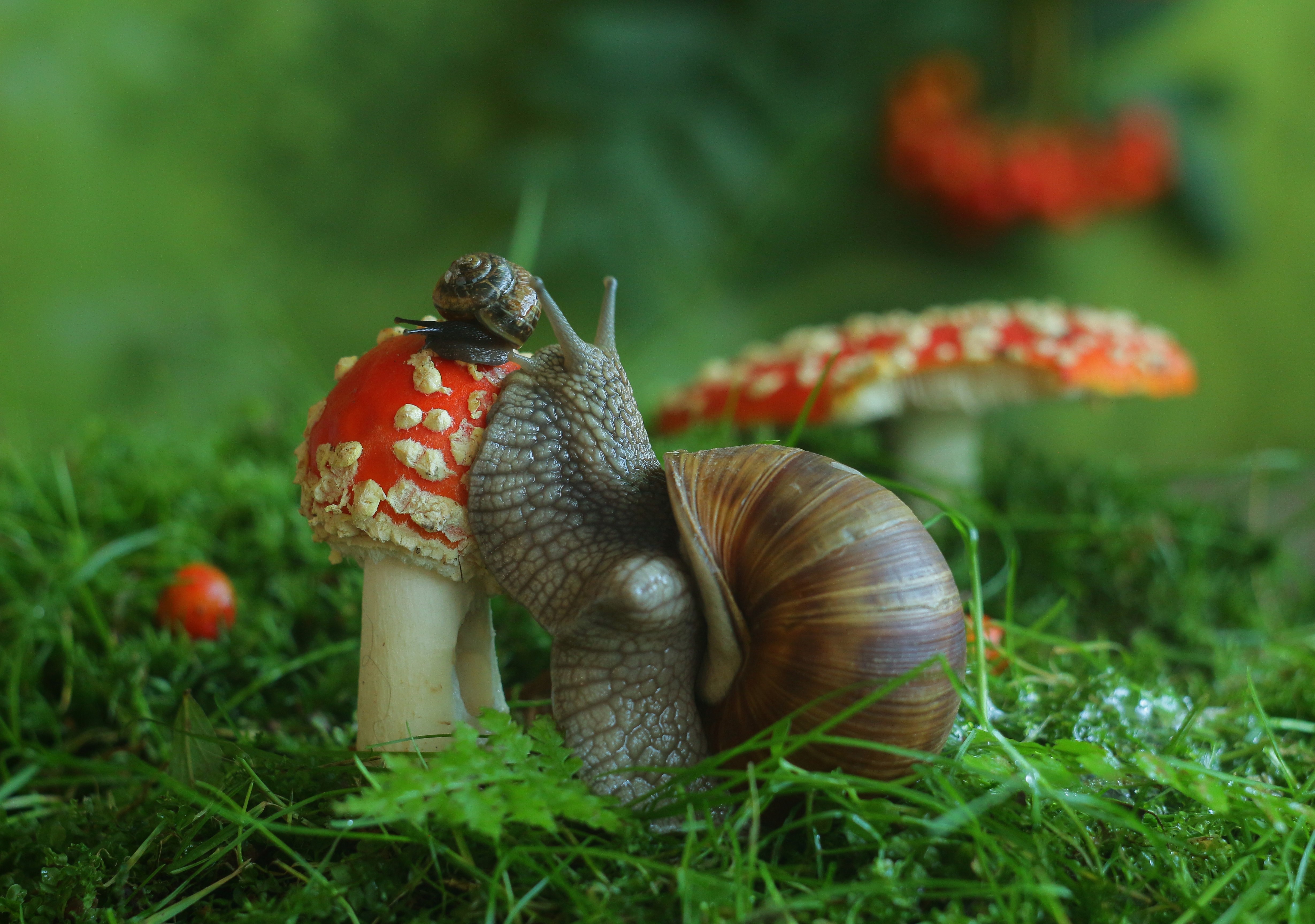 , Людмила Хрусталева*