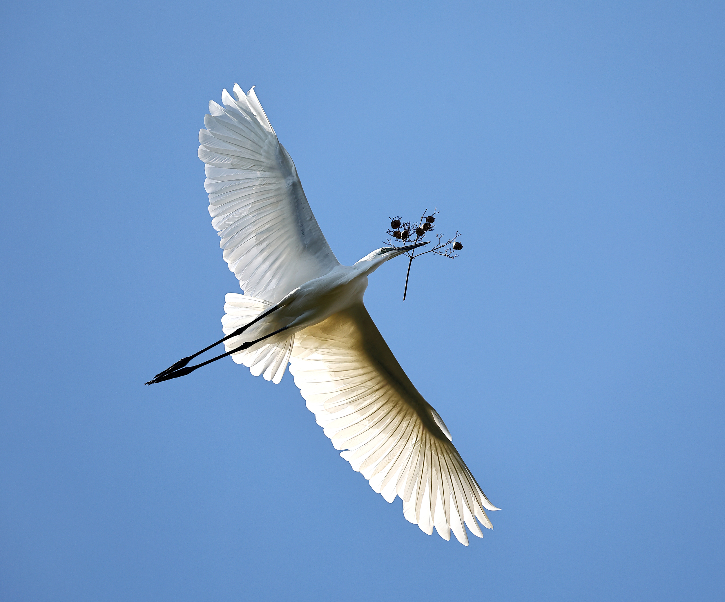 , Гудков Андрей