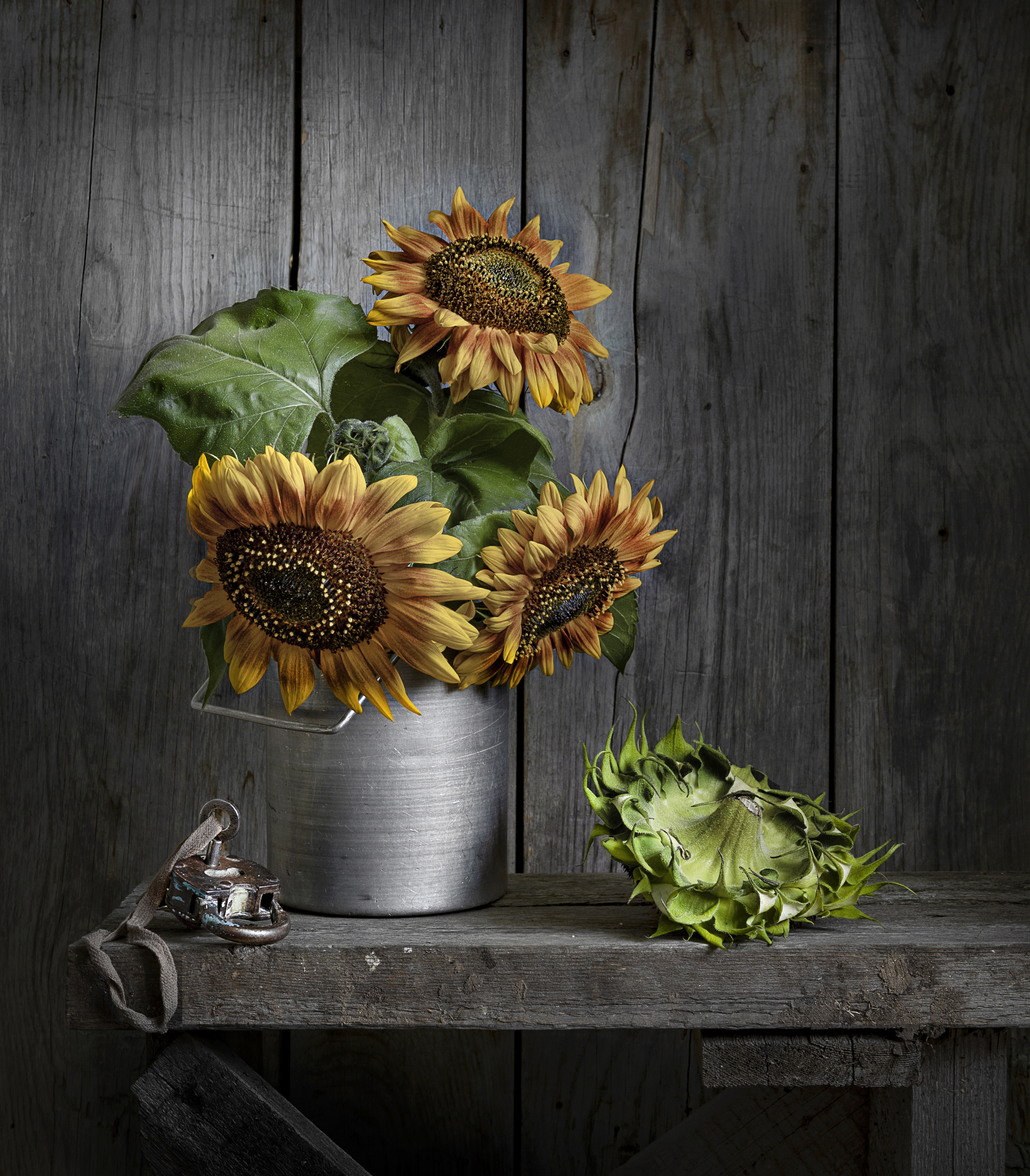 , Татьяна Попова