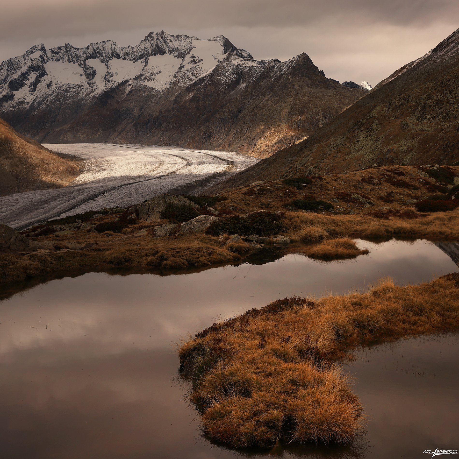 swiss, Матвеев Николай