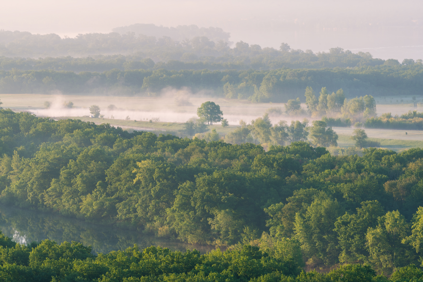 , Алексей Проняхин