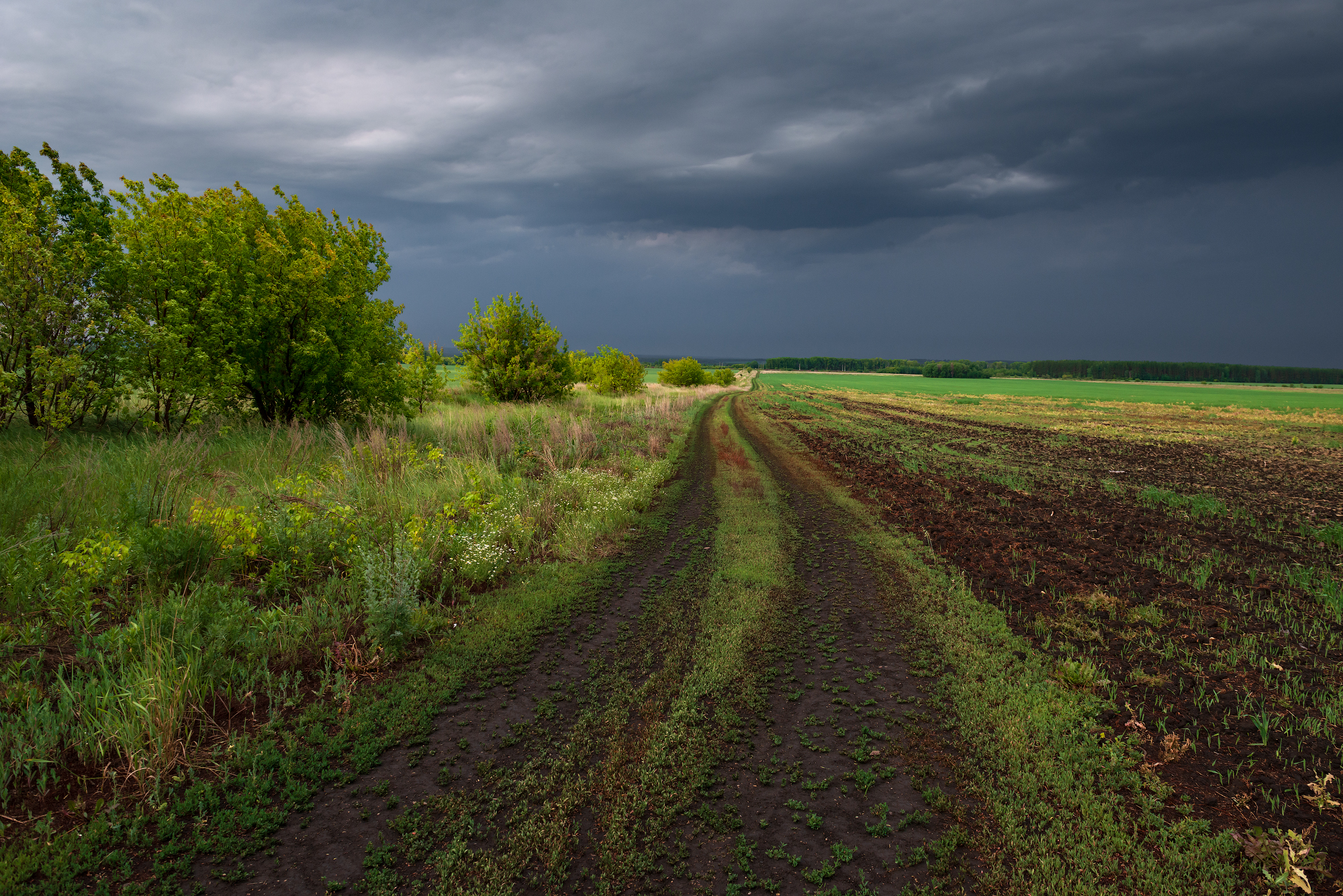 , Эдуард Кутыгин