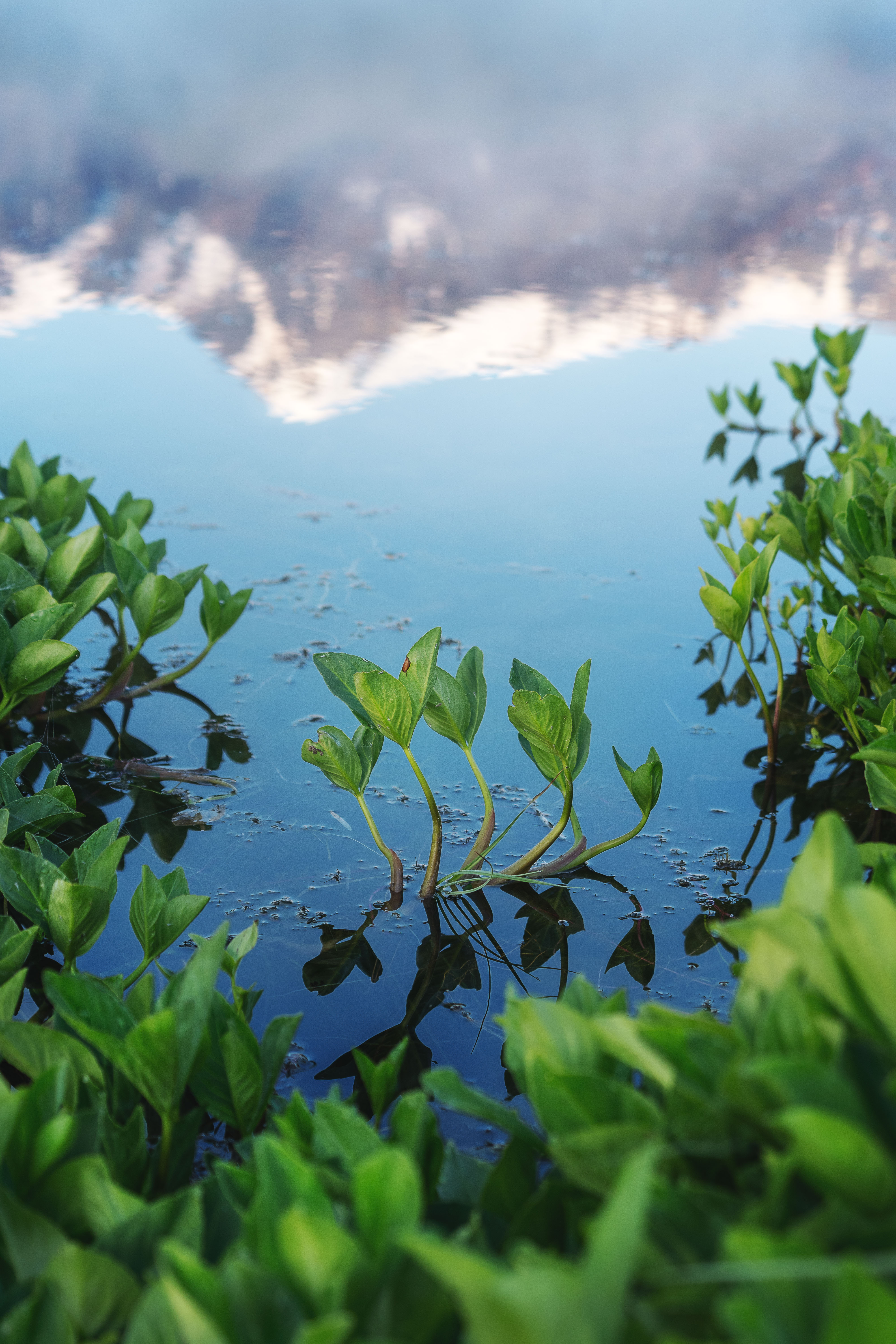 , Важенин Евгений