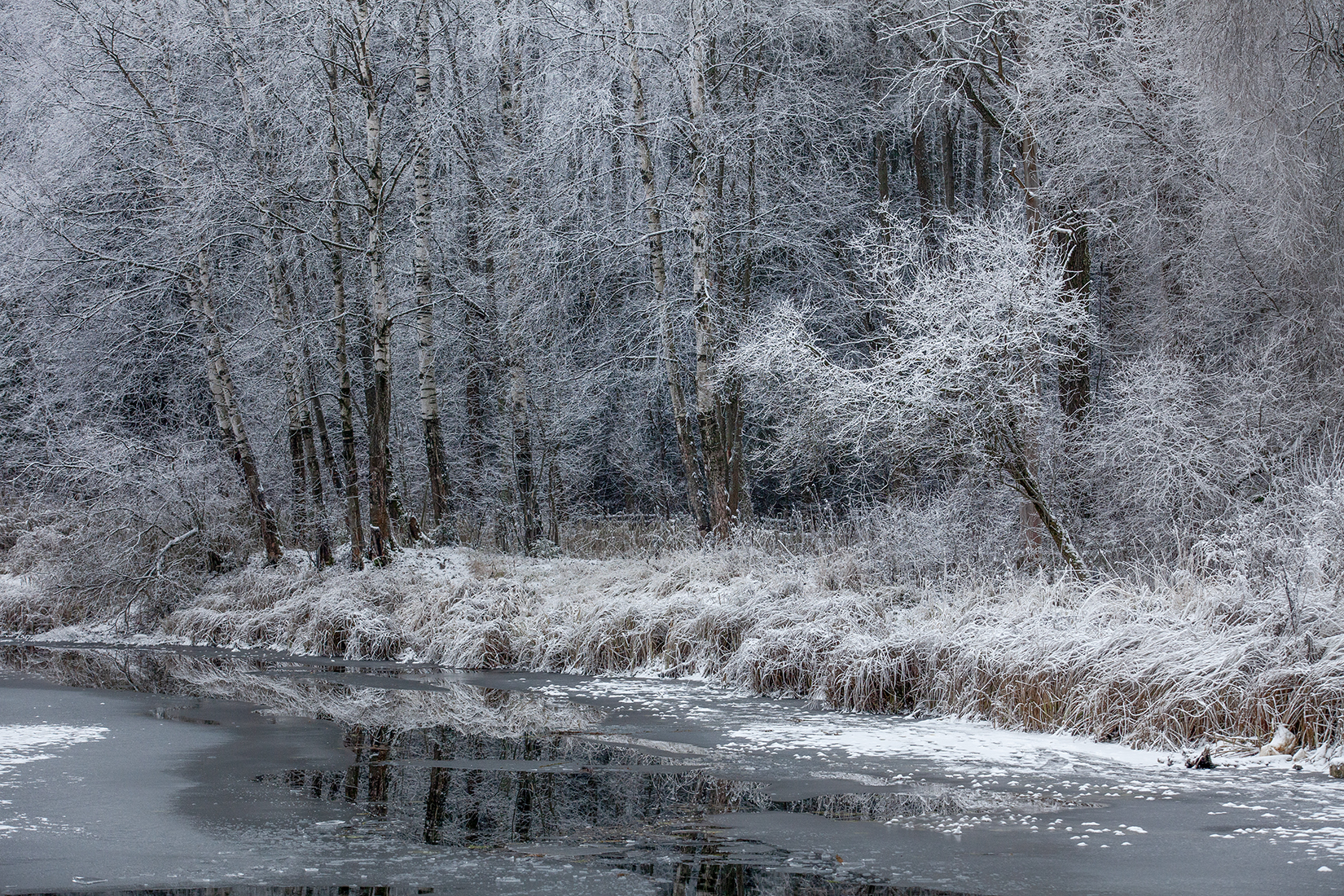 ,  александр михайлов