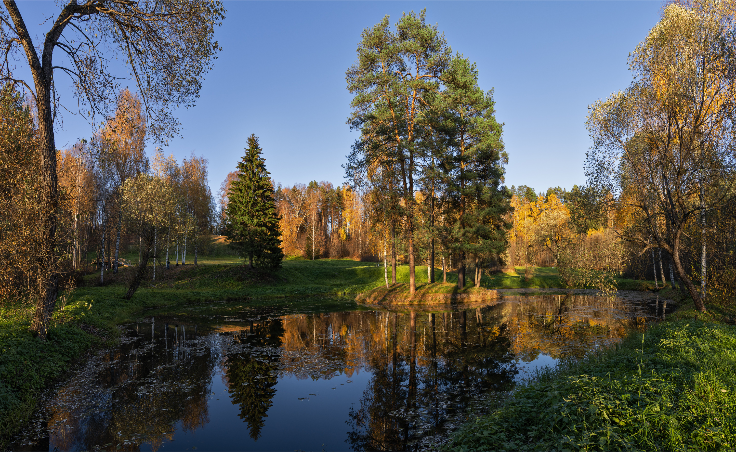 щелыково, островский, костромская область, Олег Зверев