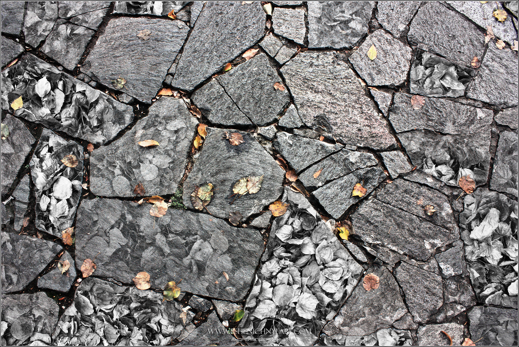 осень, абстракция, осенняя листва, октябрь, литография,палитра, оттиск, минимализм, Пшеничный Андрей