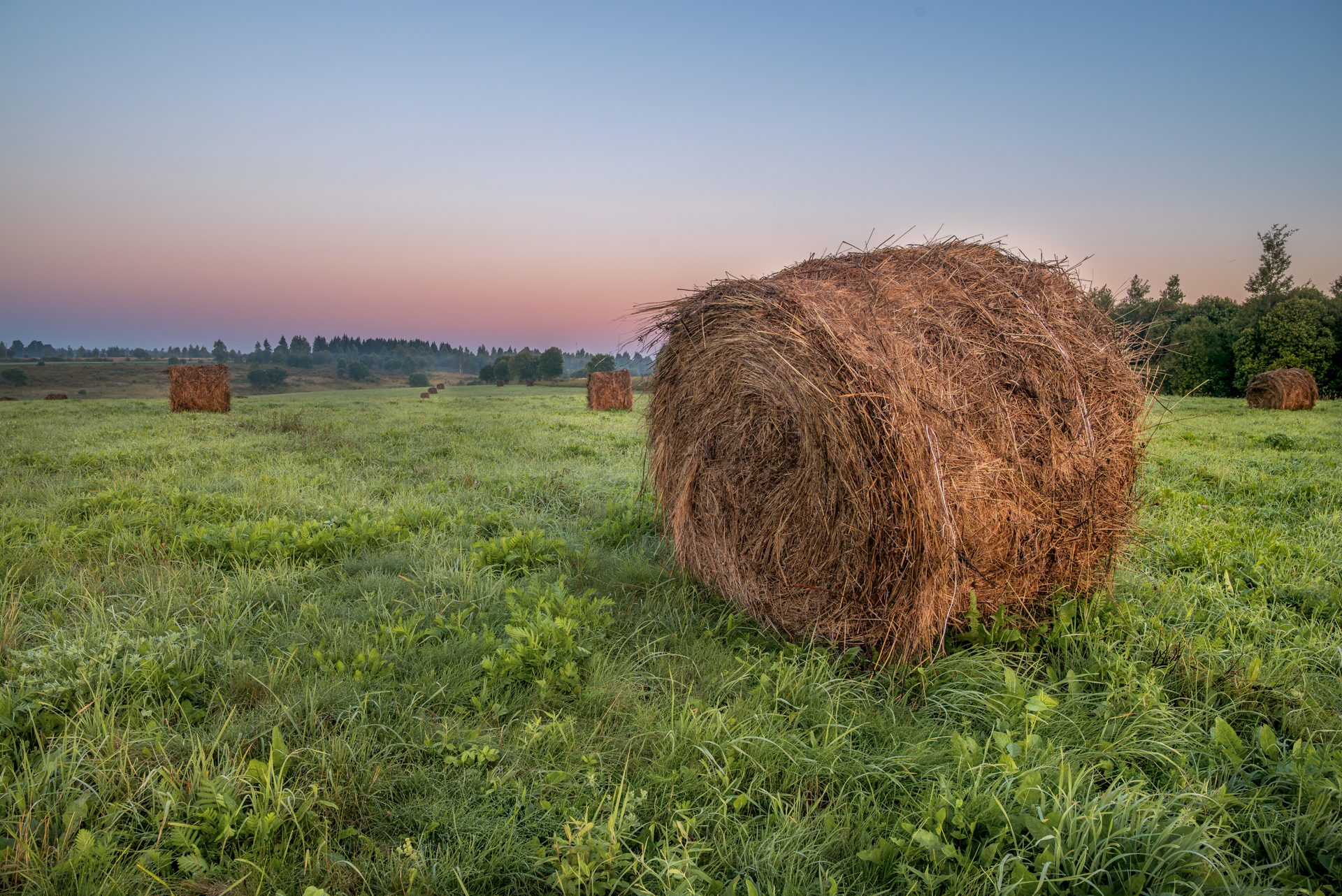 , Сережин Сережа