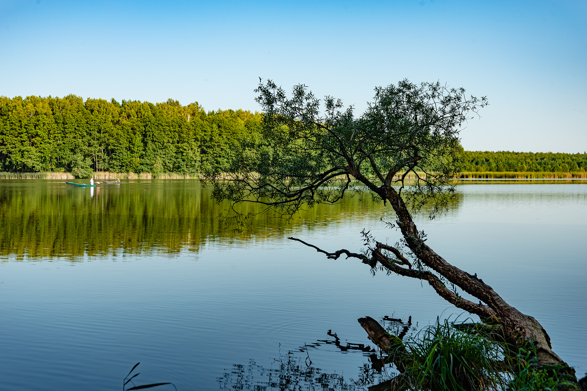 , Владимир Ноздрачев