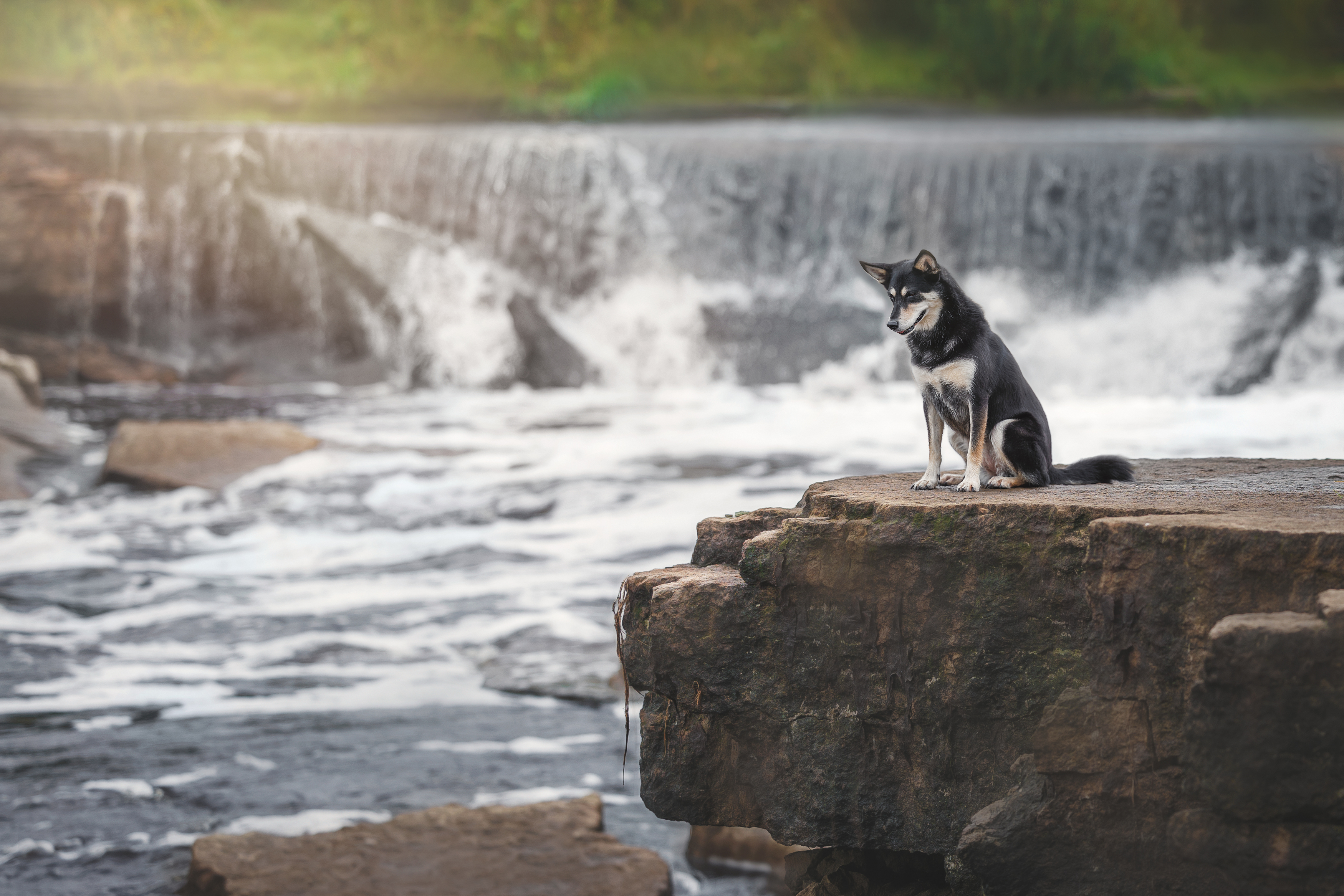 , Яна Нарбутович