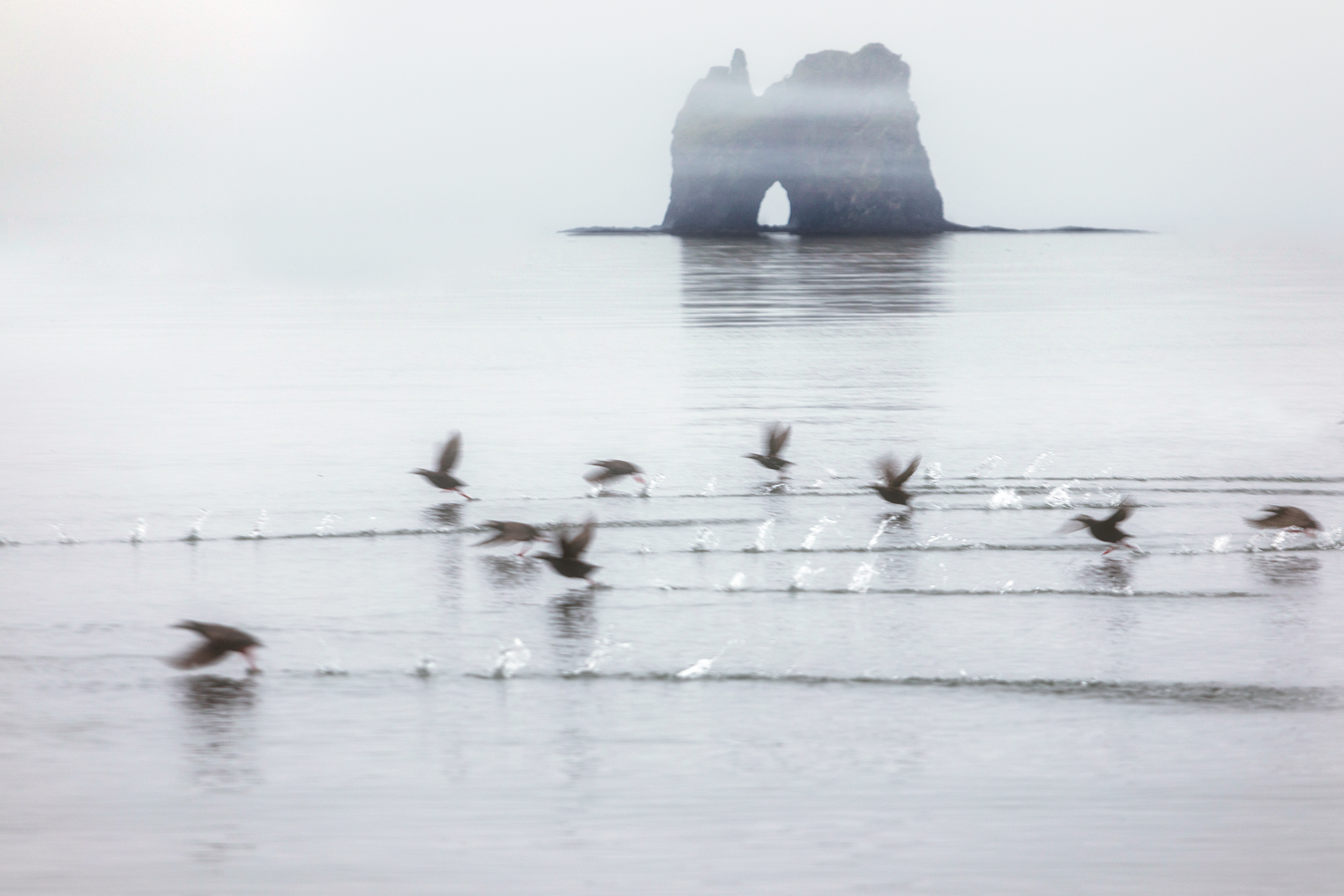 шантары, шантарские острова, туман, птицы, море, охотское, арка, Павел Ващенков