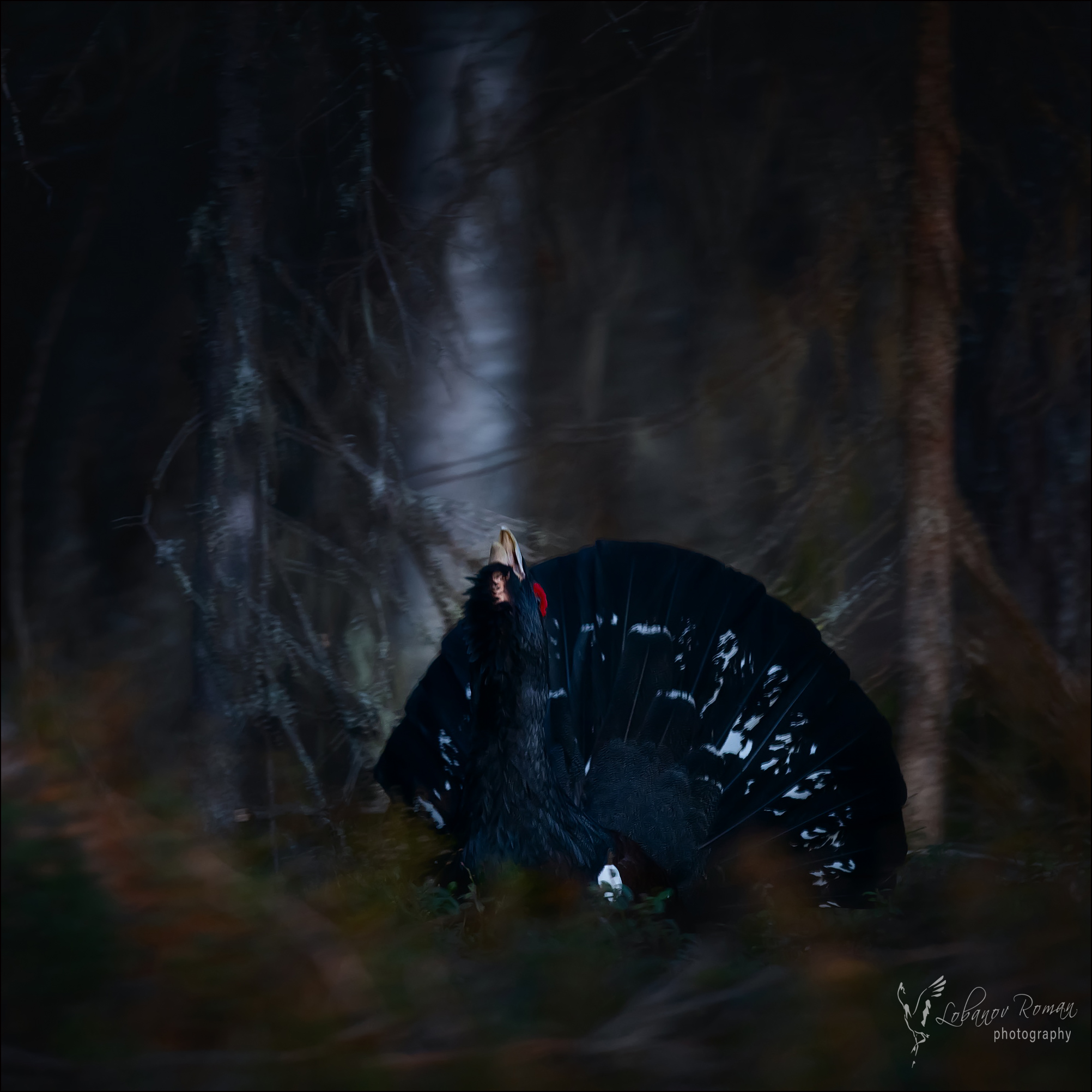 , Лобанов Роман