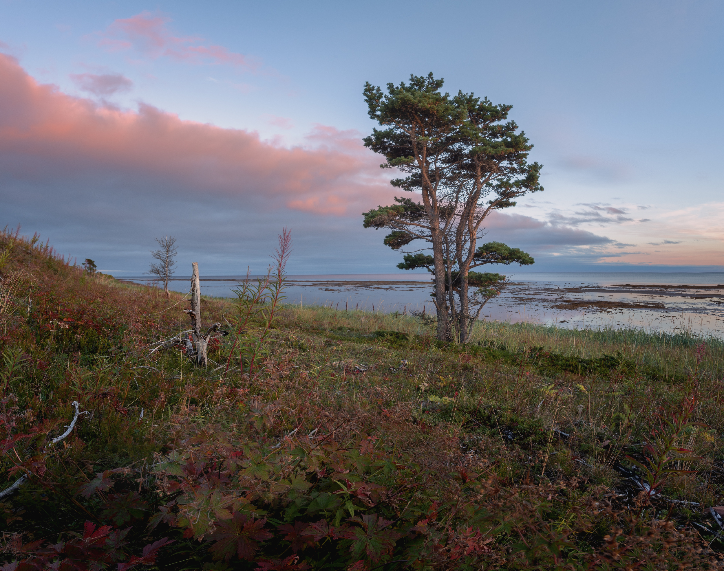 , Аброскин Игорь