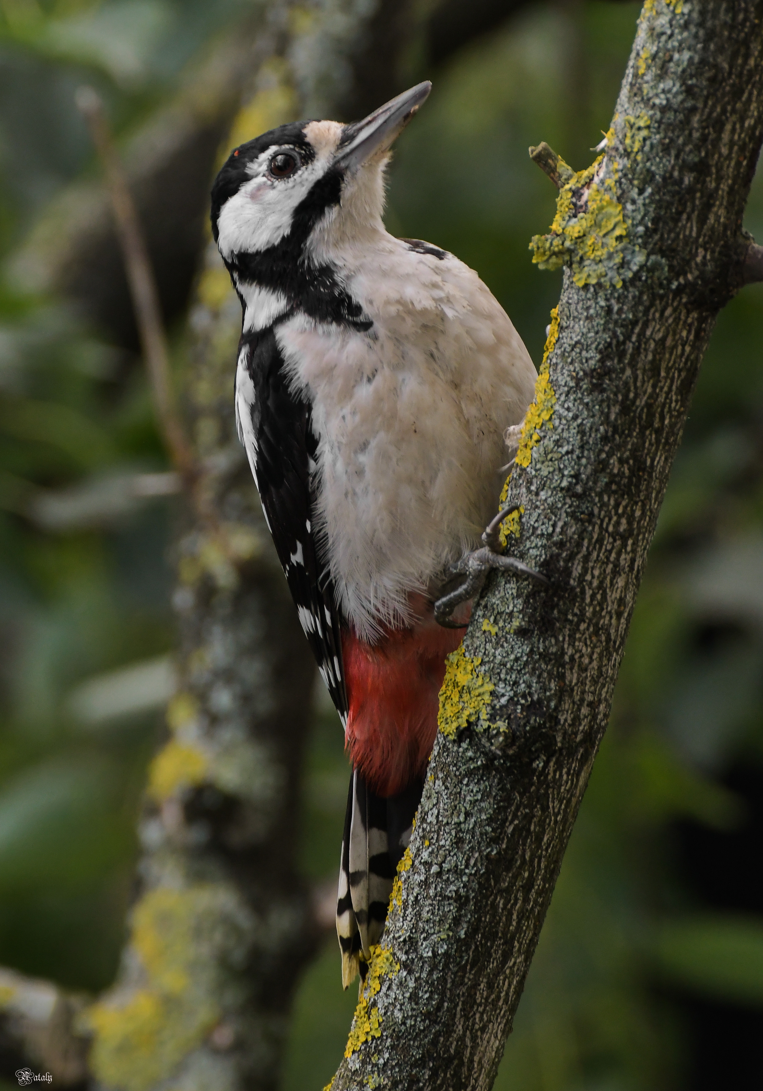 , Наталья Екимова