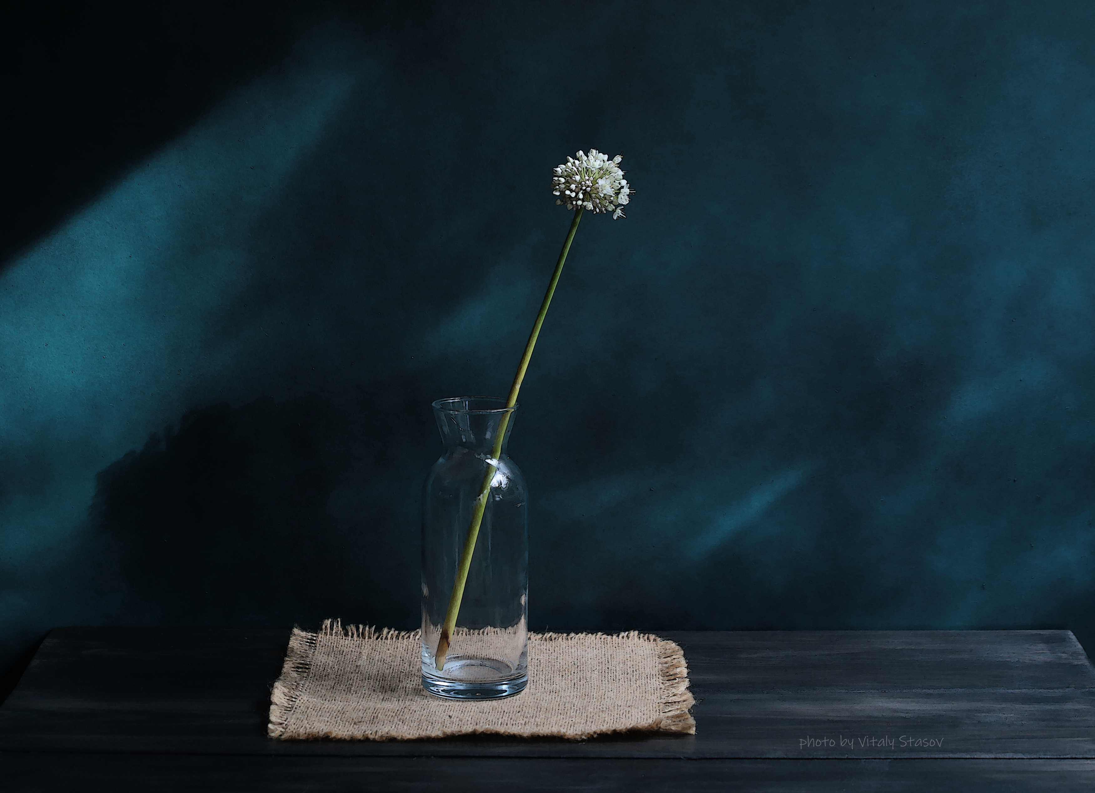 натюрморт, стекло, акварель, минимализм, цветы, minimalism, still life, Стасов Виталий