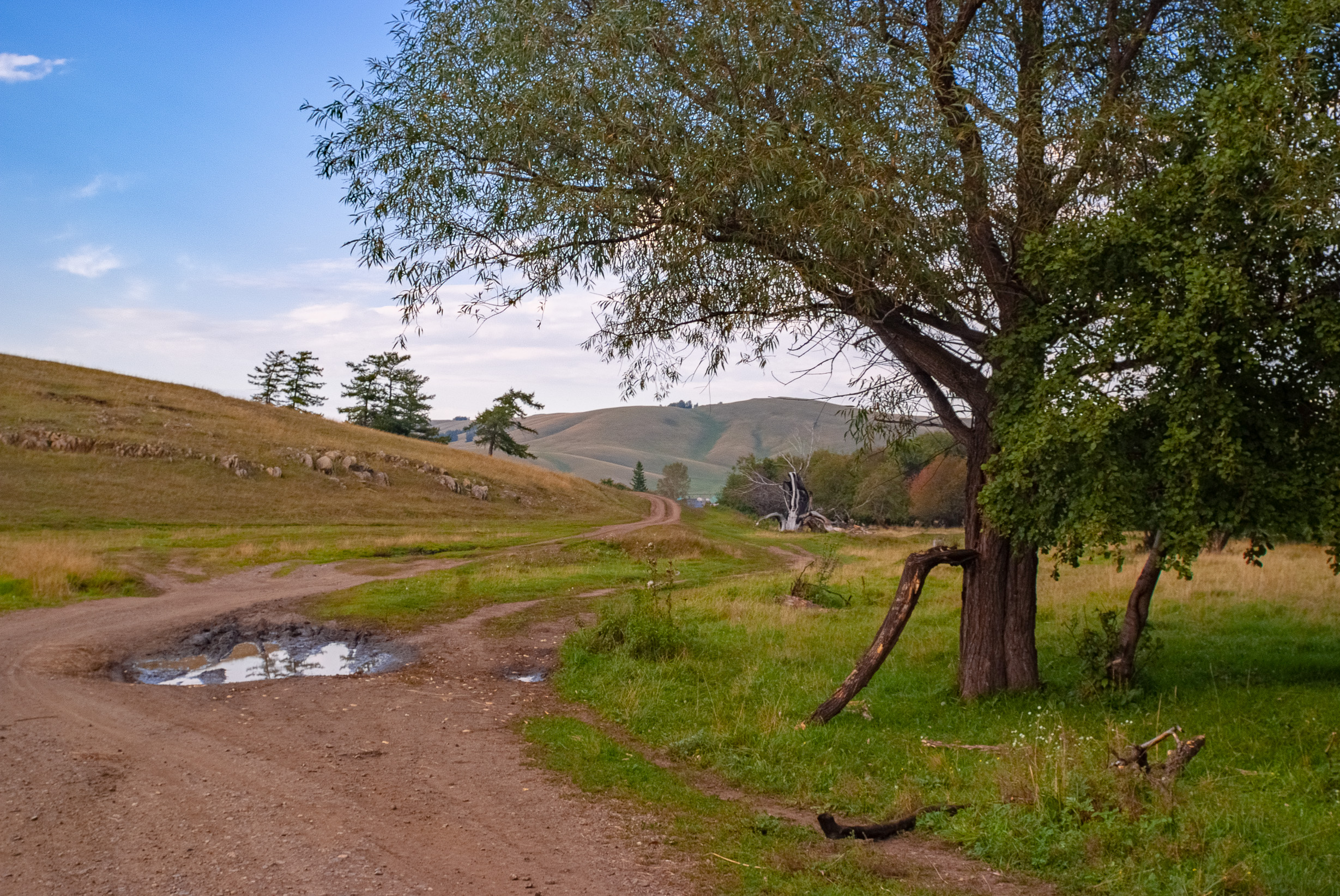 , Шустиков Дмитрий