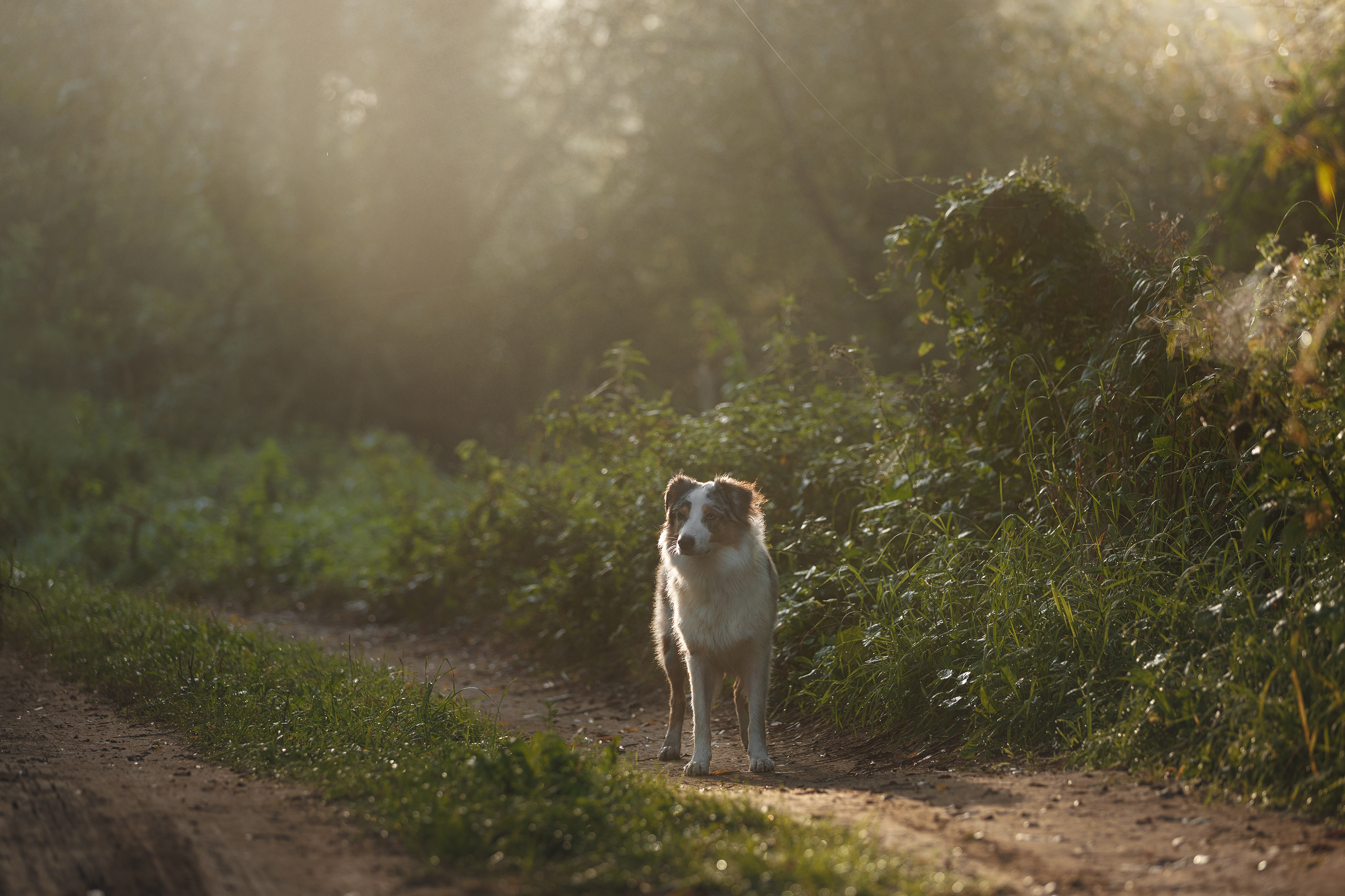 , Шерскова Мария
