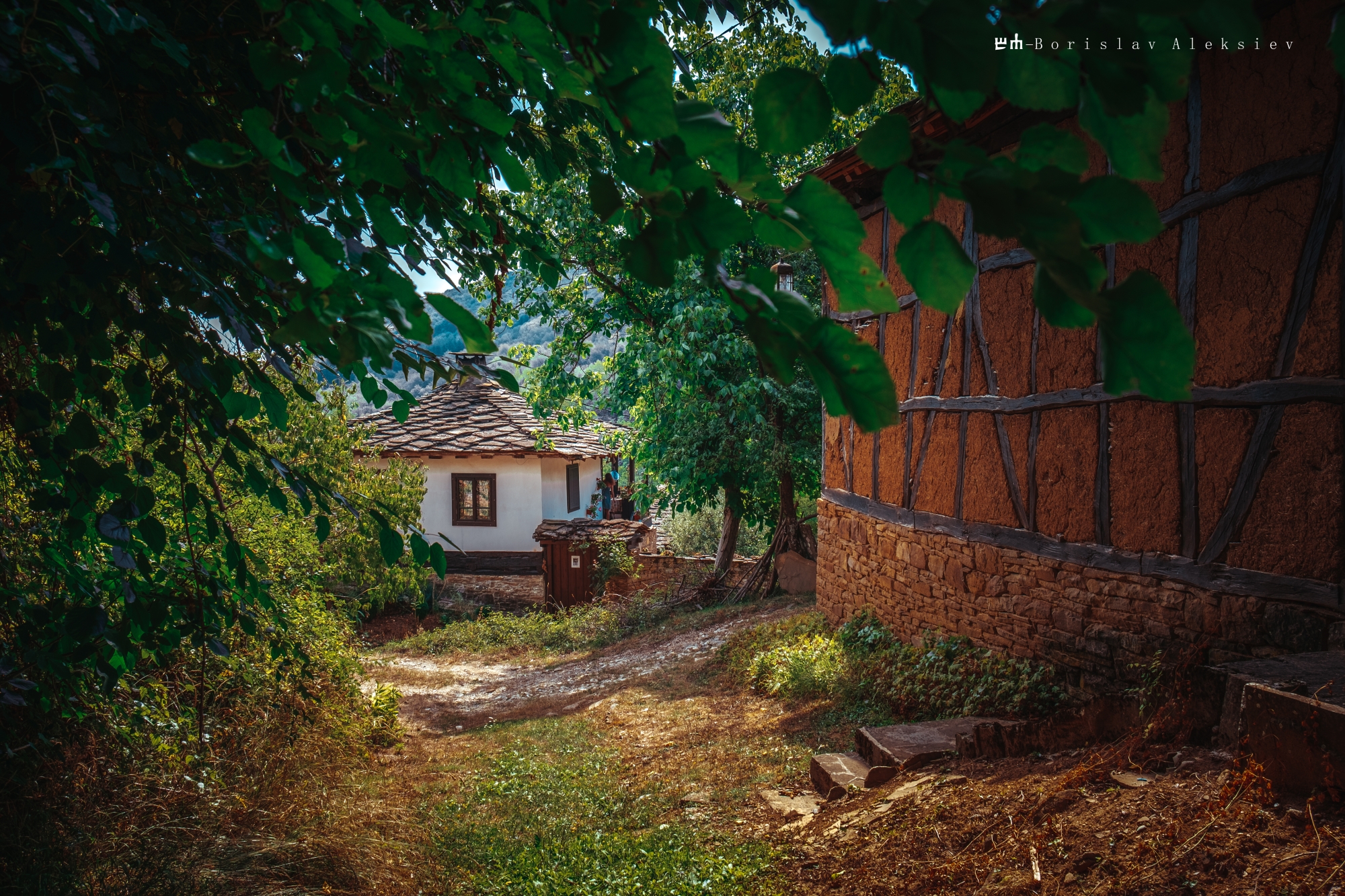 българия,старо стефаново,travel,old,house,tree,road,green,summer, Алексиев Борислав