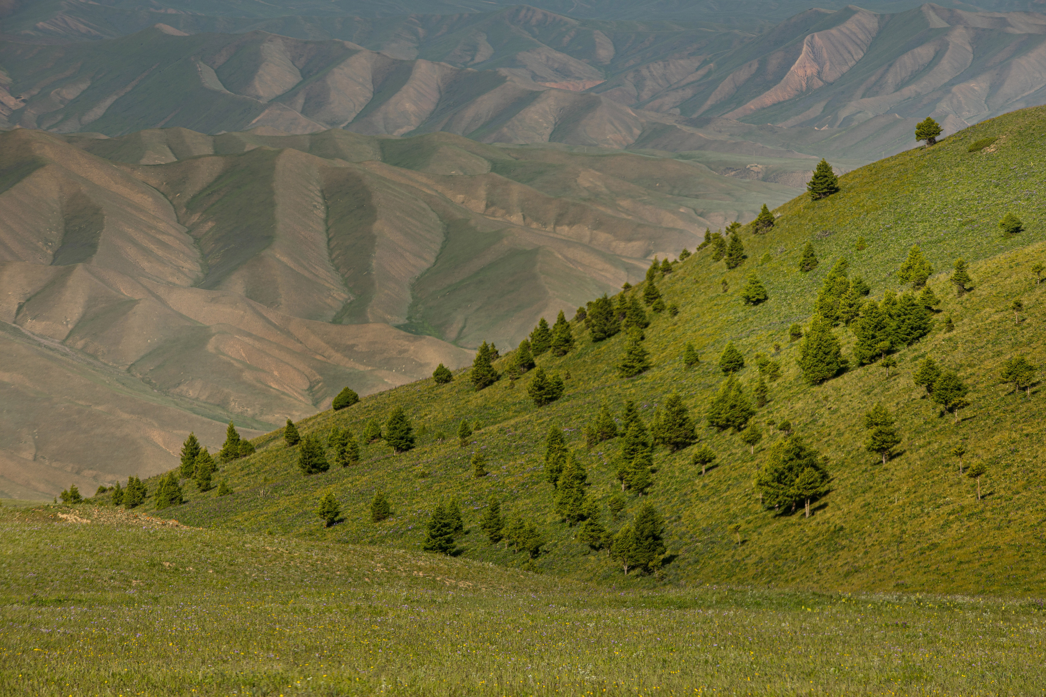 abashkin sergey, природа, forest, nature, пейзаж,  горы, кыргызстан,   тянь-шань, скалы, киргизия,  перевал,  гора, абашкин сергей, Абашкин Сергей