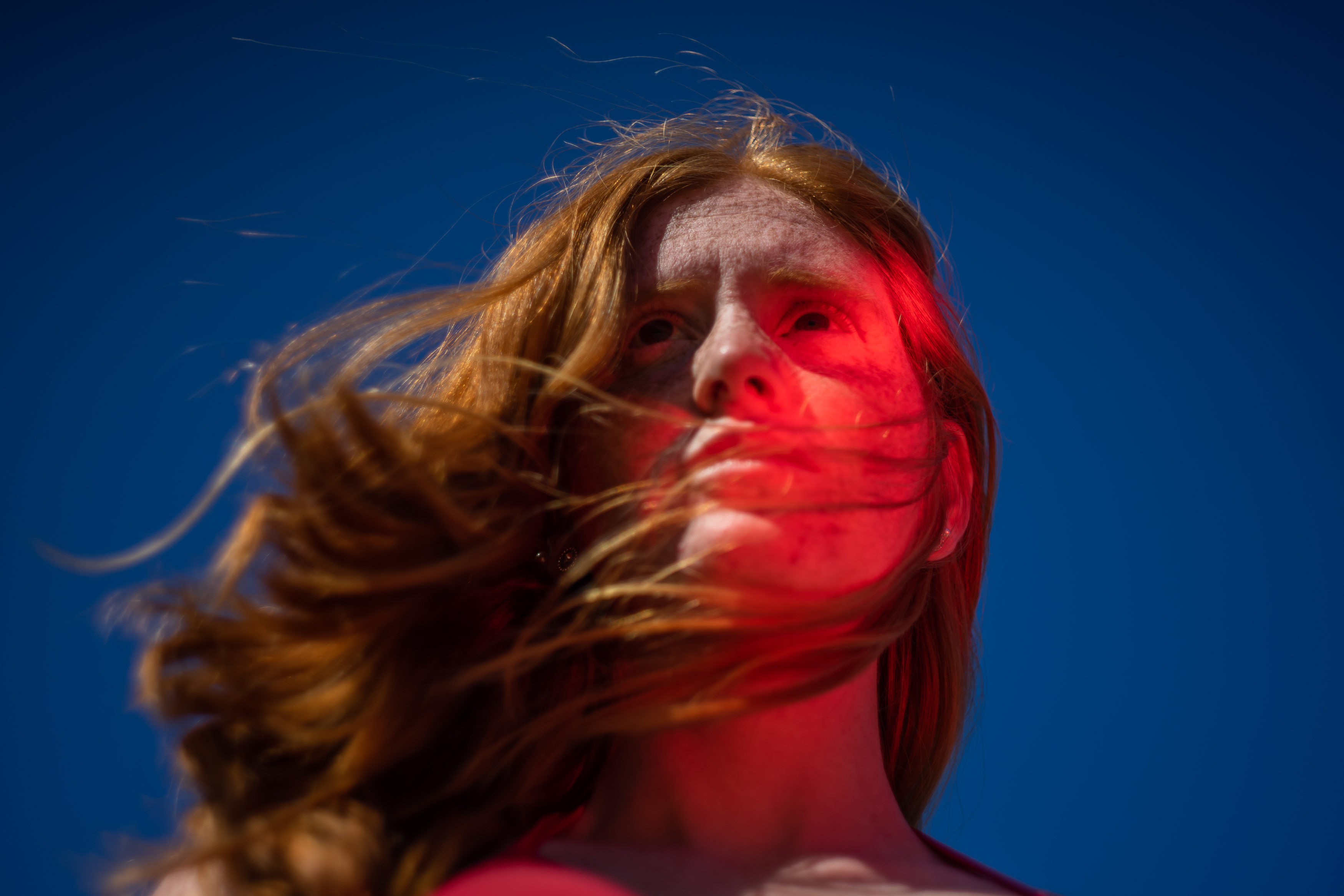 Portrait , Maksims Novikovs