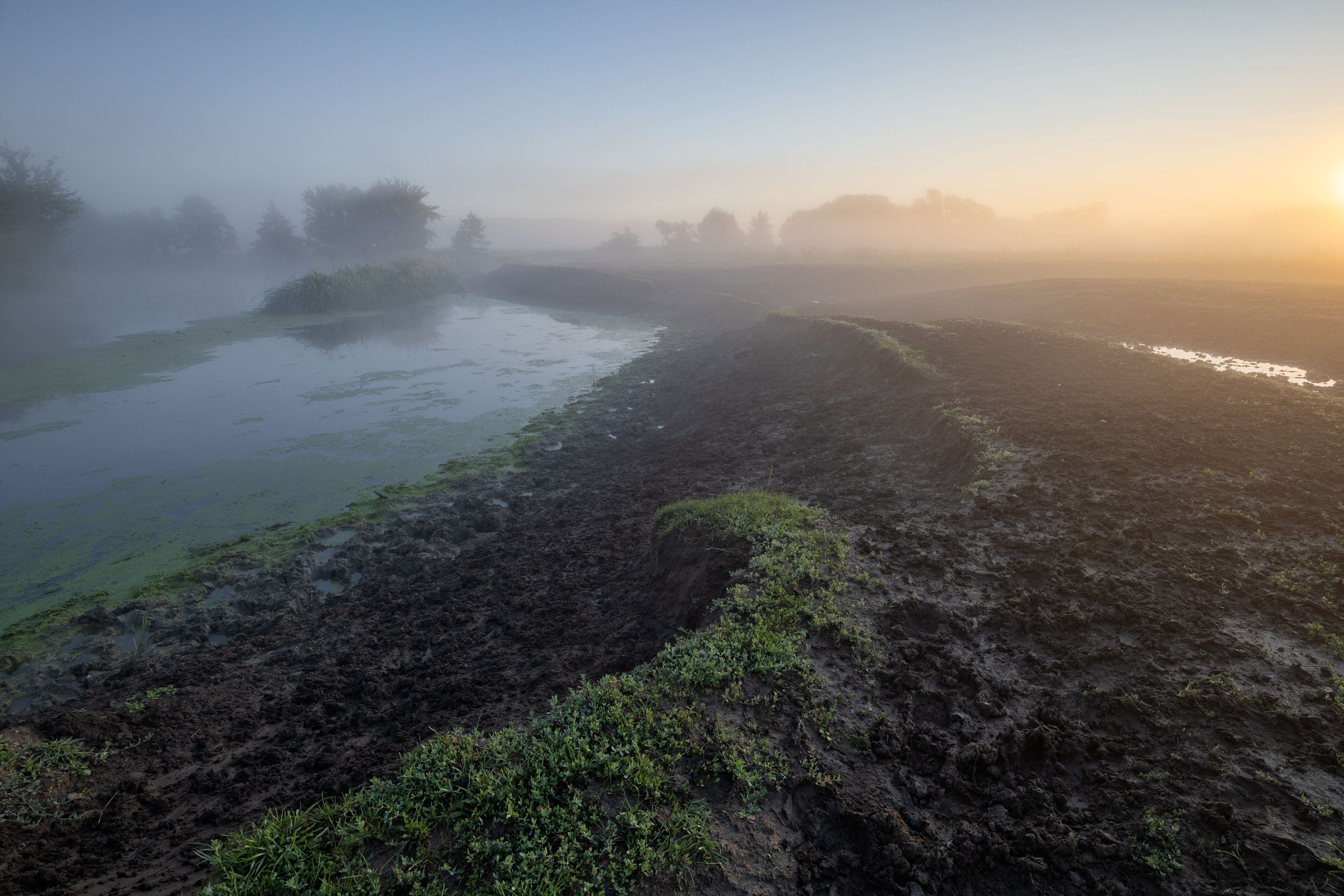 , Александр Бредихин